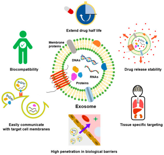 Recent Advances in Exosome-Based Drug Delivery for Cancer Recent Advances in Exosome-Based Drug Delivery for Cancer