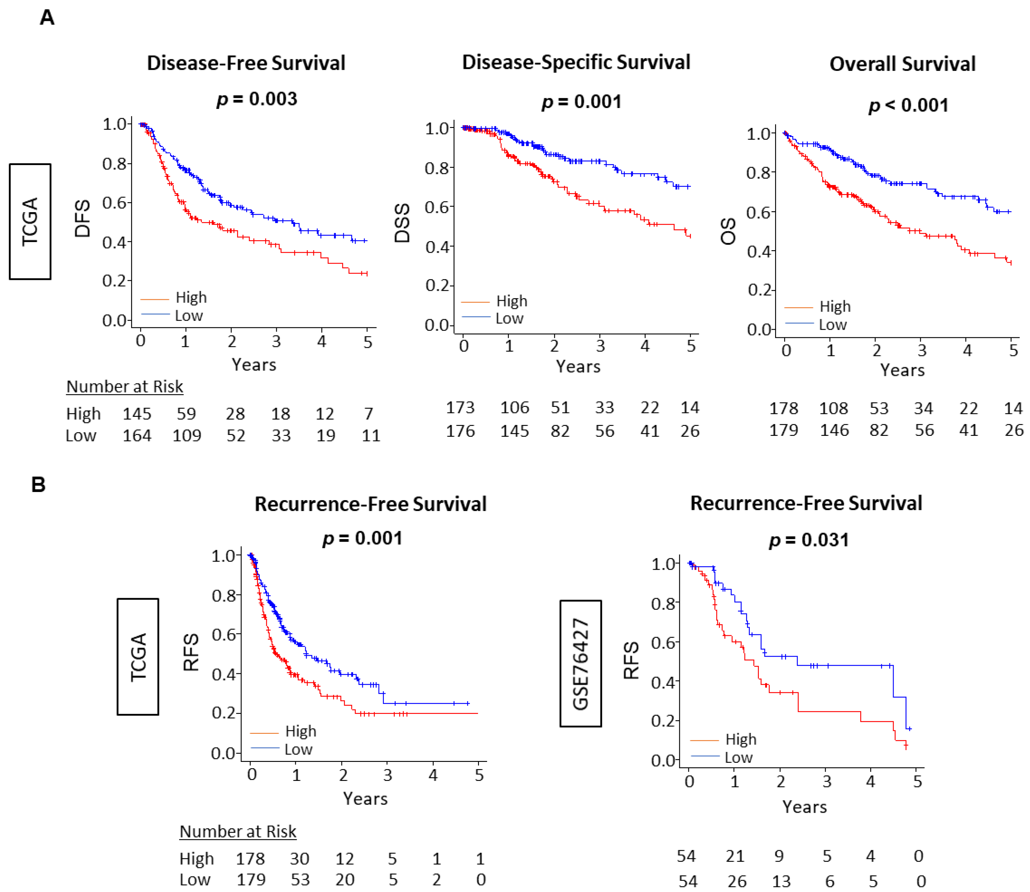 Cancers 13 04443 g006 550