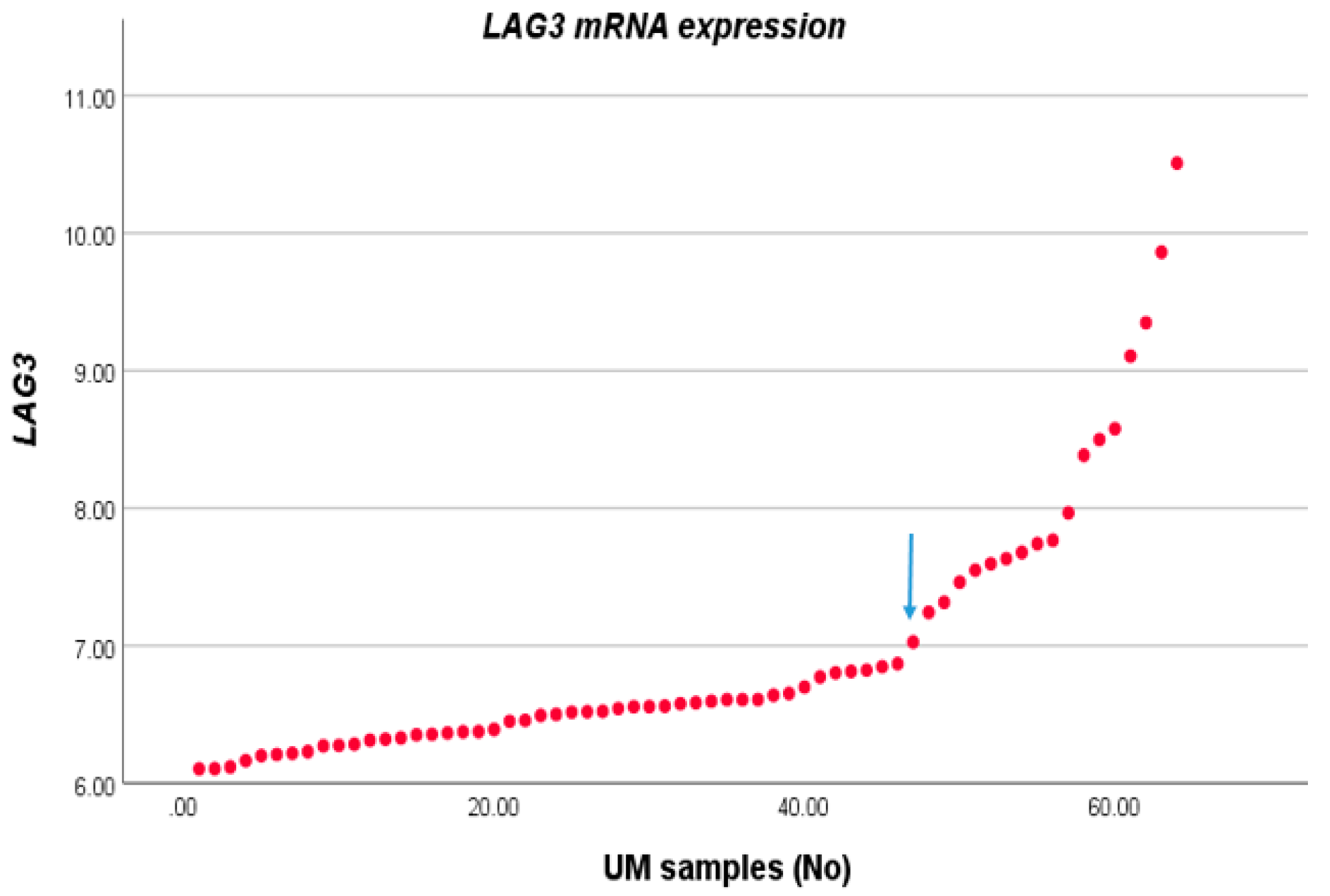 Cancers 13 04445 g001