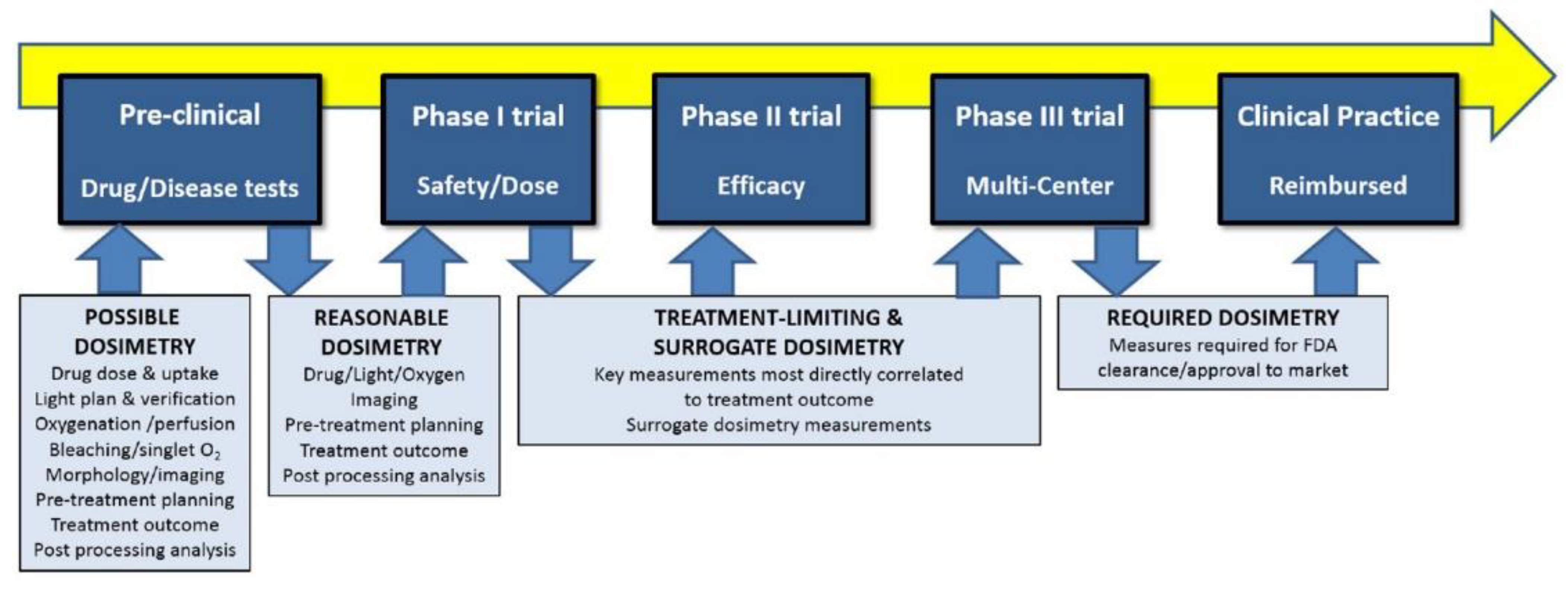 Cancers 13 04447 g007 Cancers 13 04447 g007