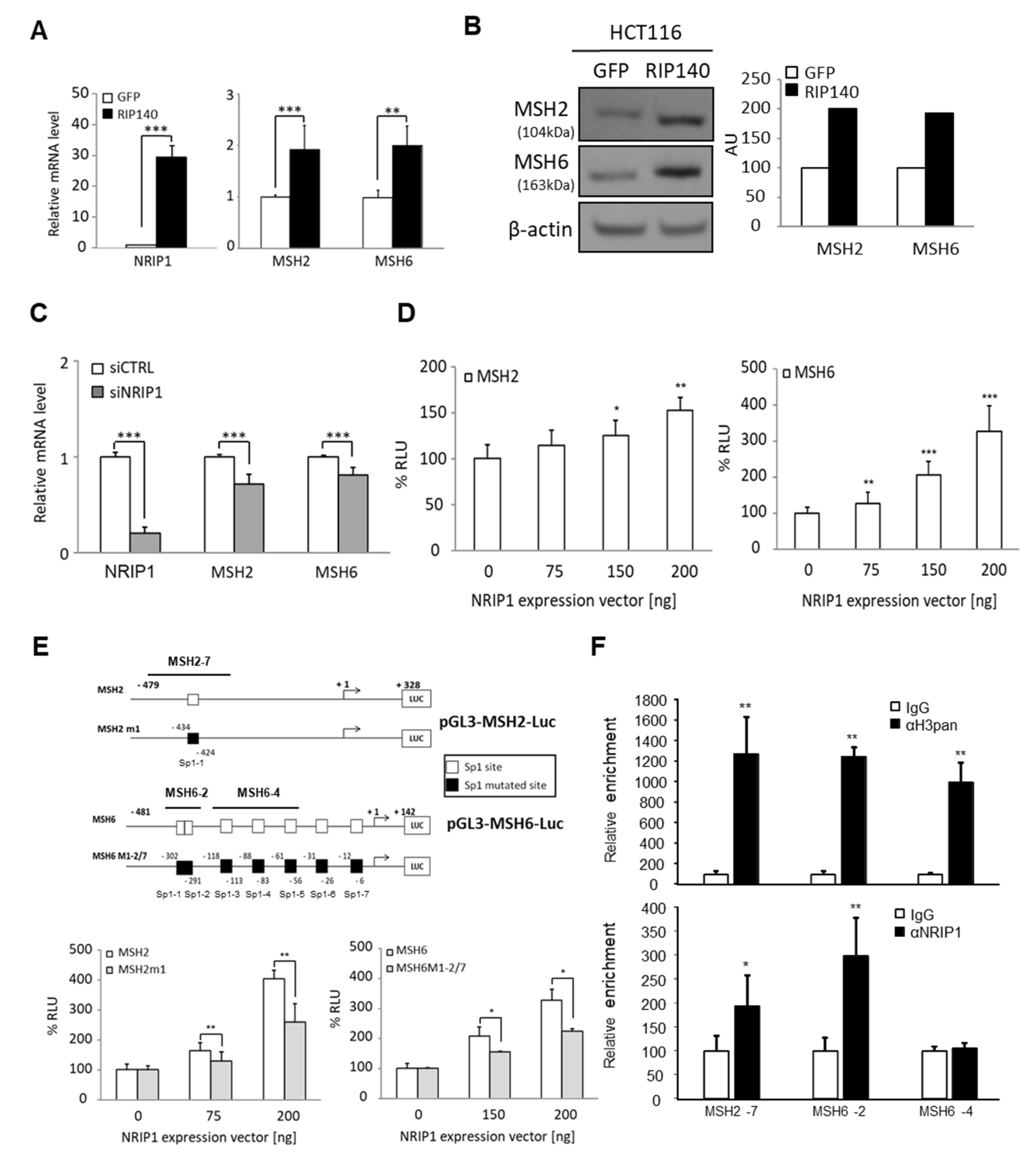 Cancers 13 04449 g002 Cancers 13 04449 g002