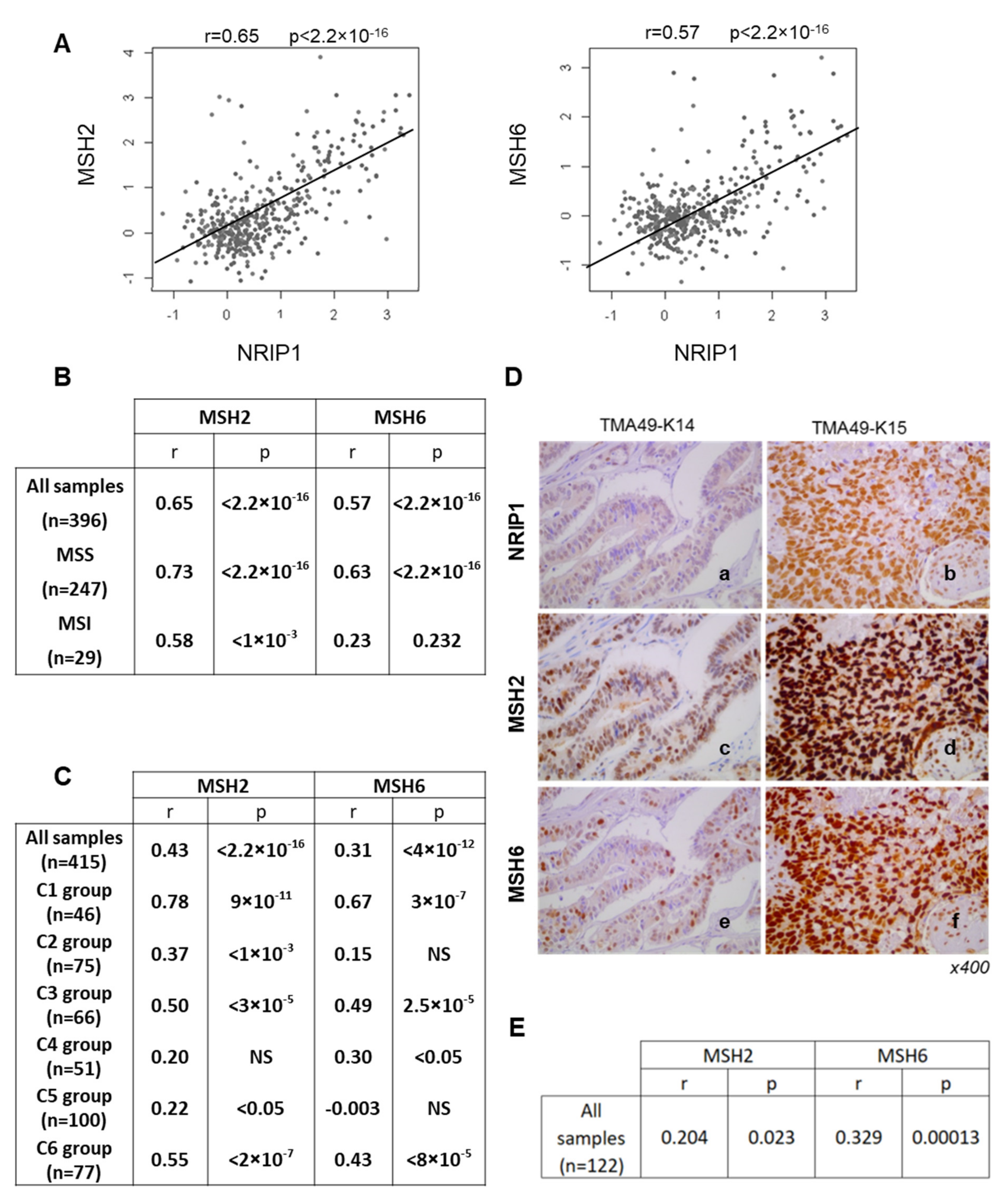 Cancers 13 04449 g003 Cancers 13 04449 g003