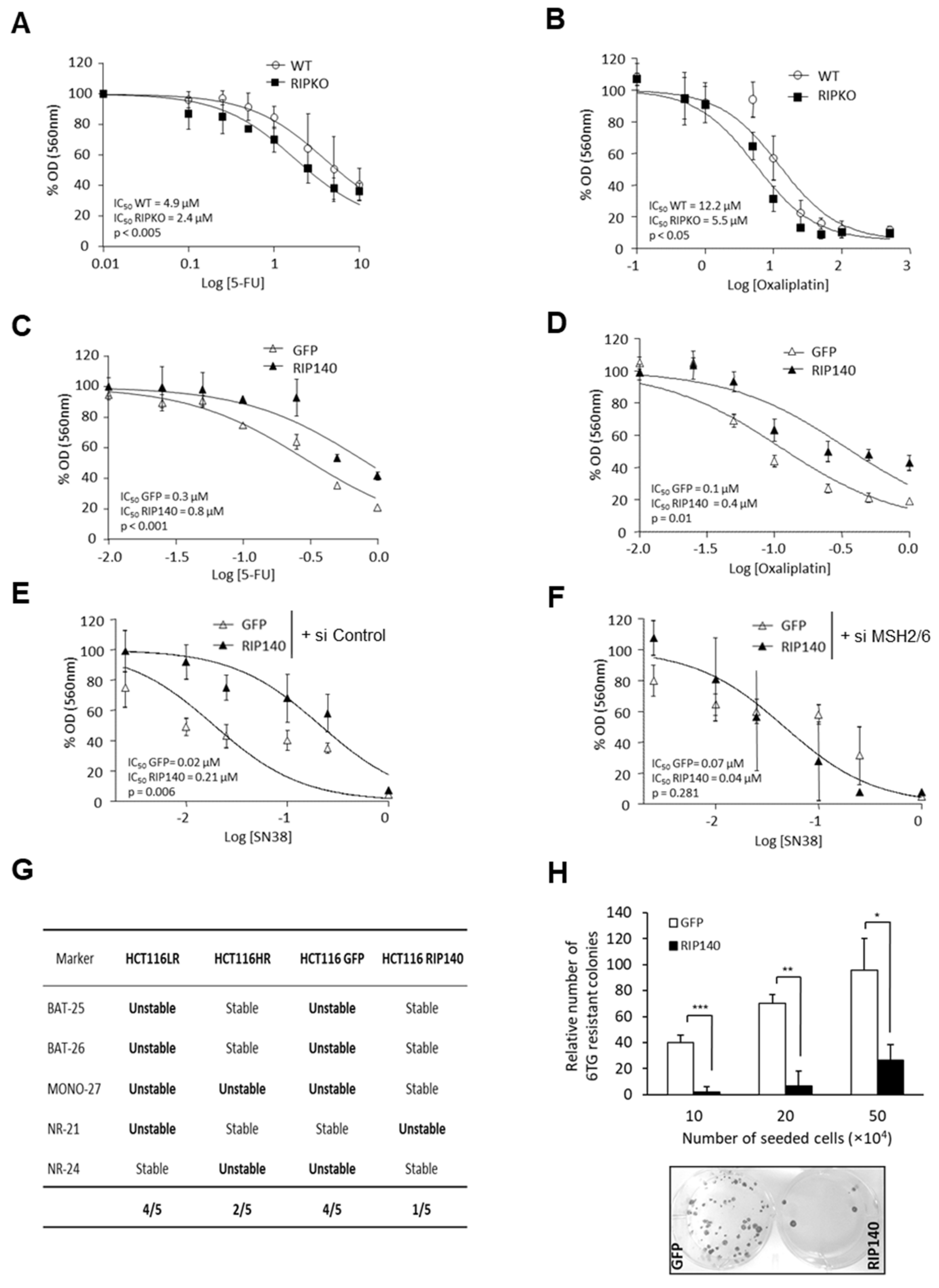 Cancers 13 04449 g004 Cancers 13 04449 g004