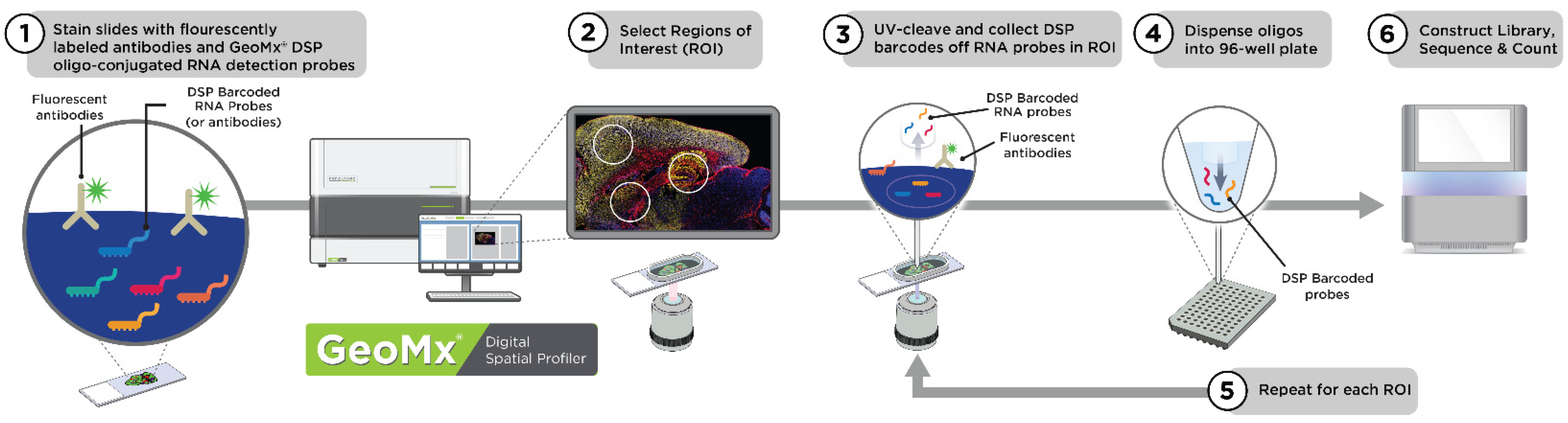 Cancers 13 04456 g001 550
