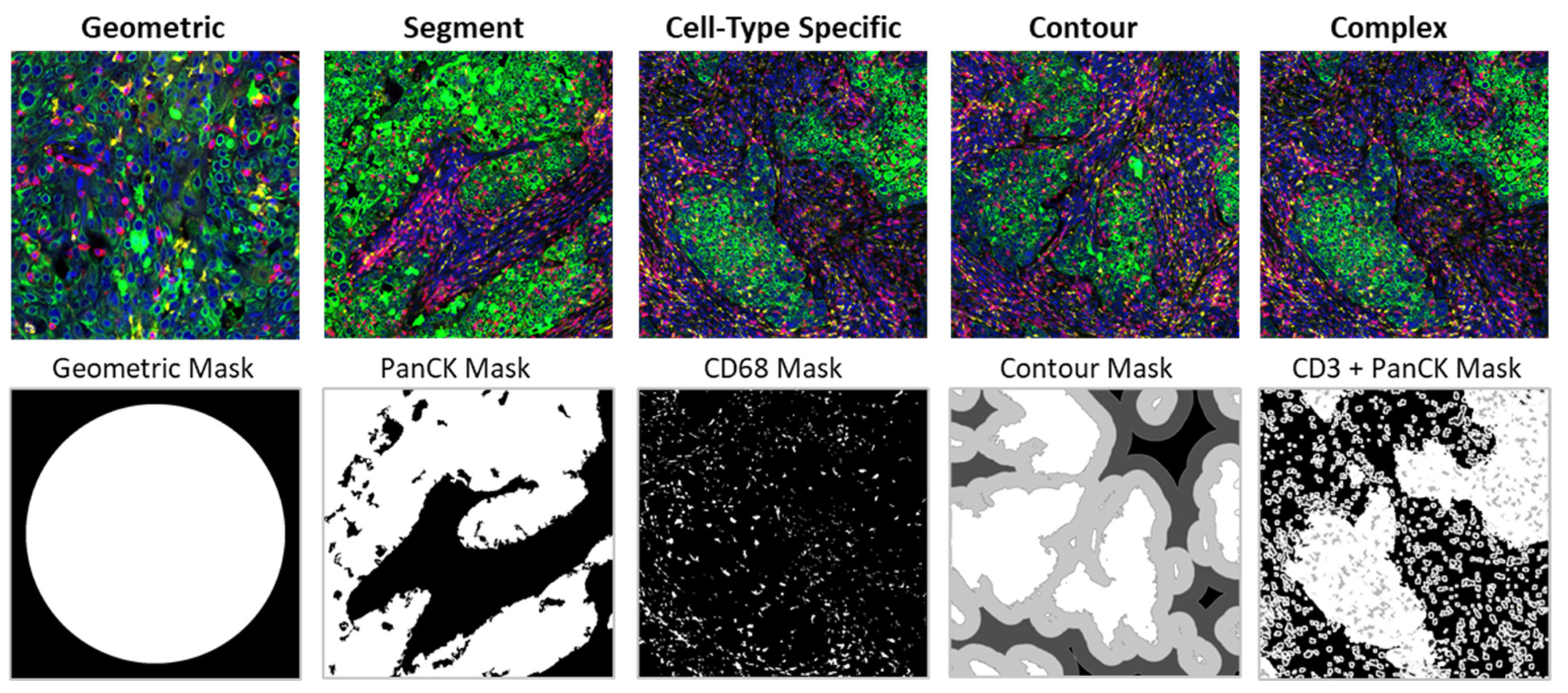 Cancers 13 04456 g004 550