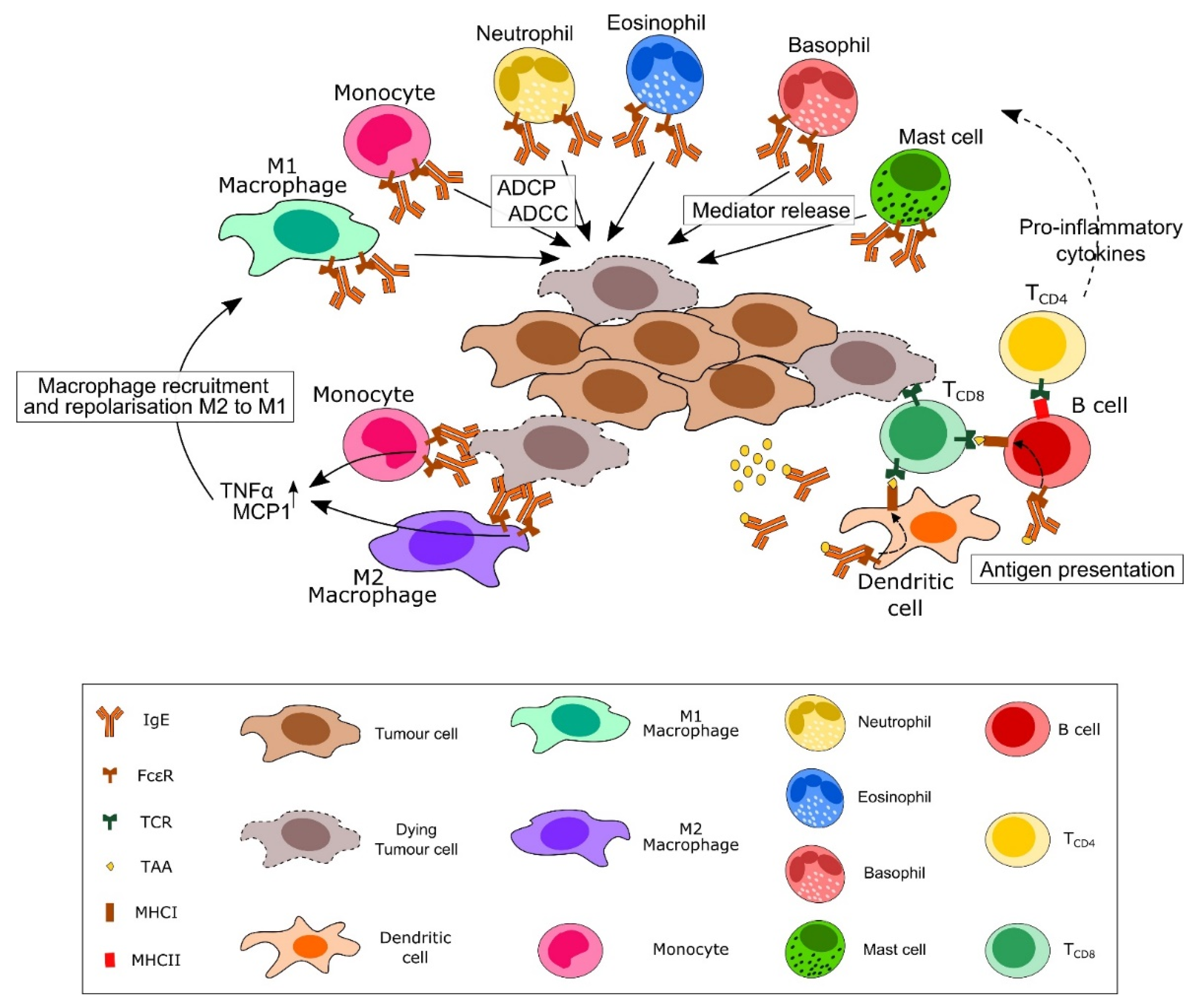 Cancers 13 04460 g001