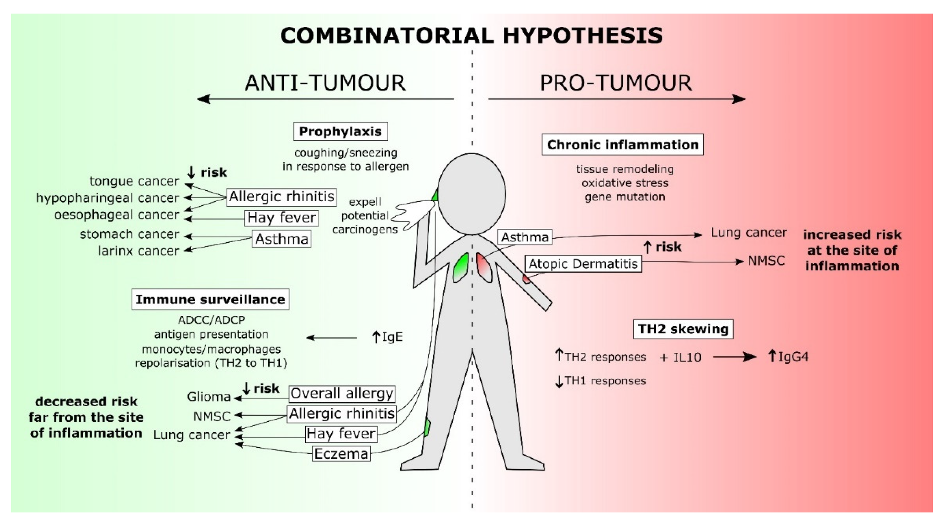 Cancers 13 04460 g002
