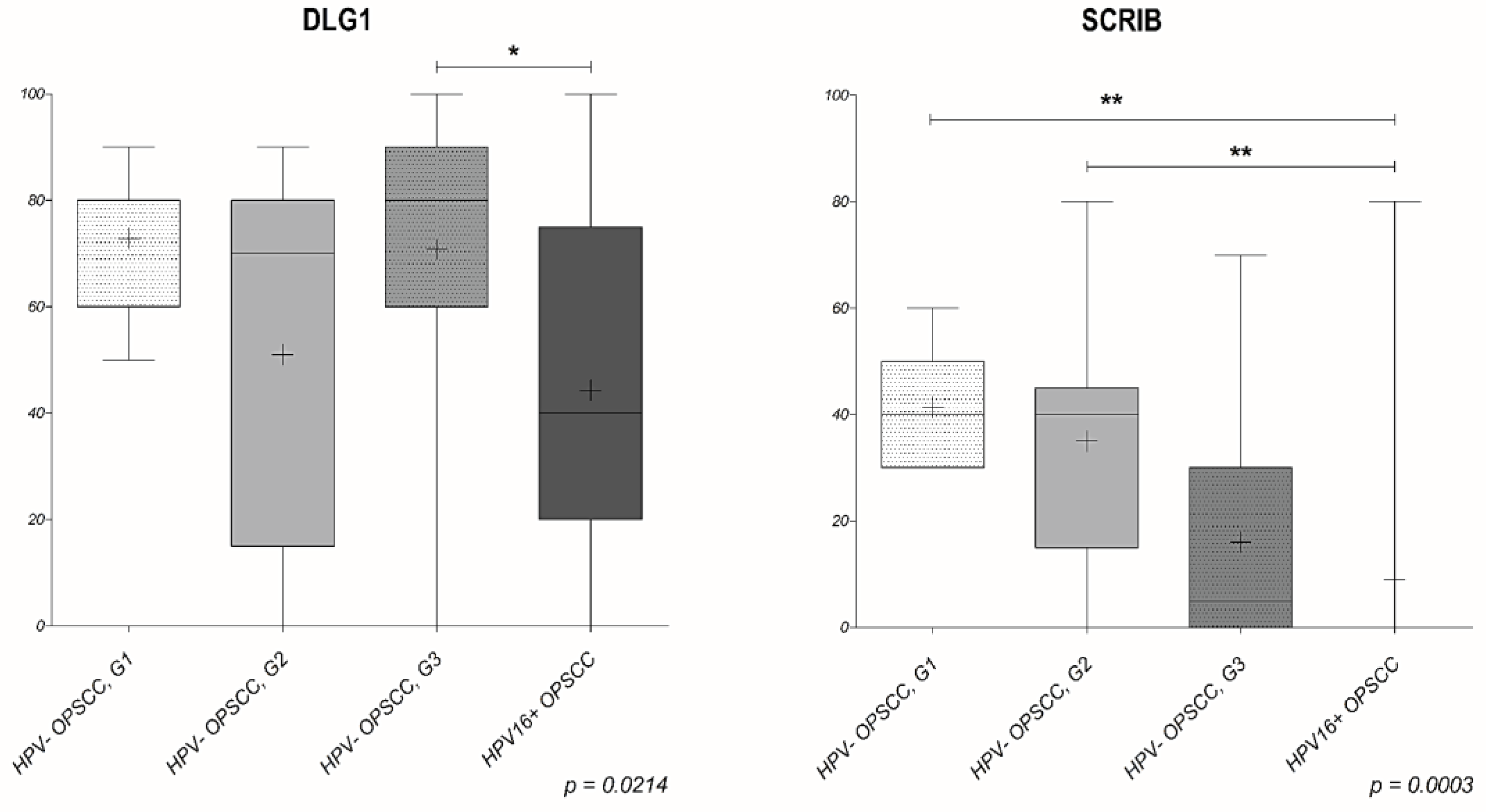Cancers 13 04461 g005