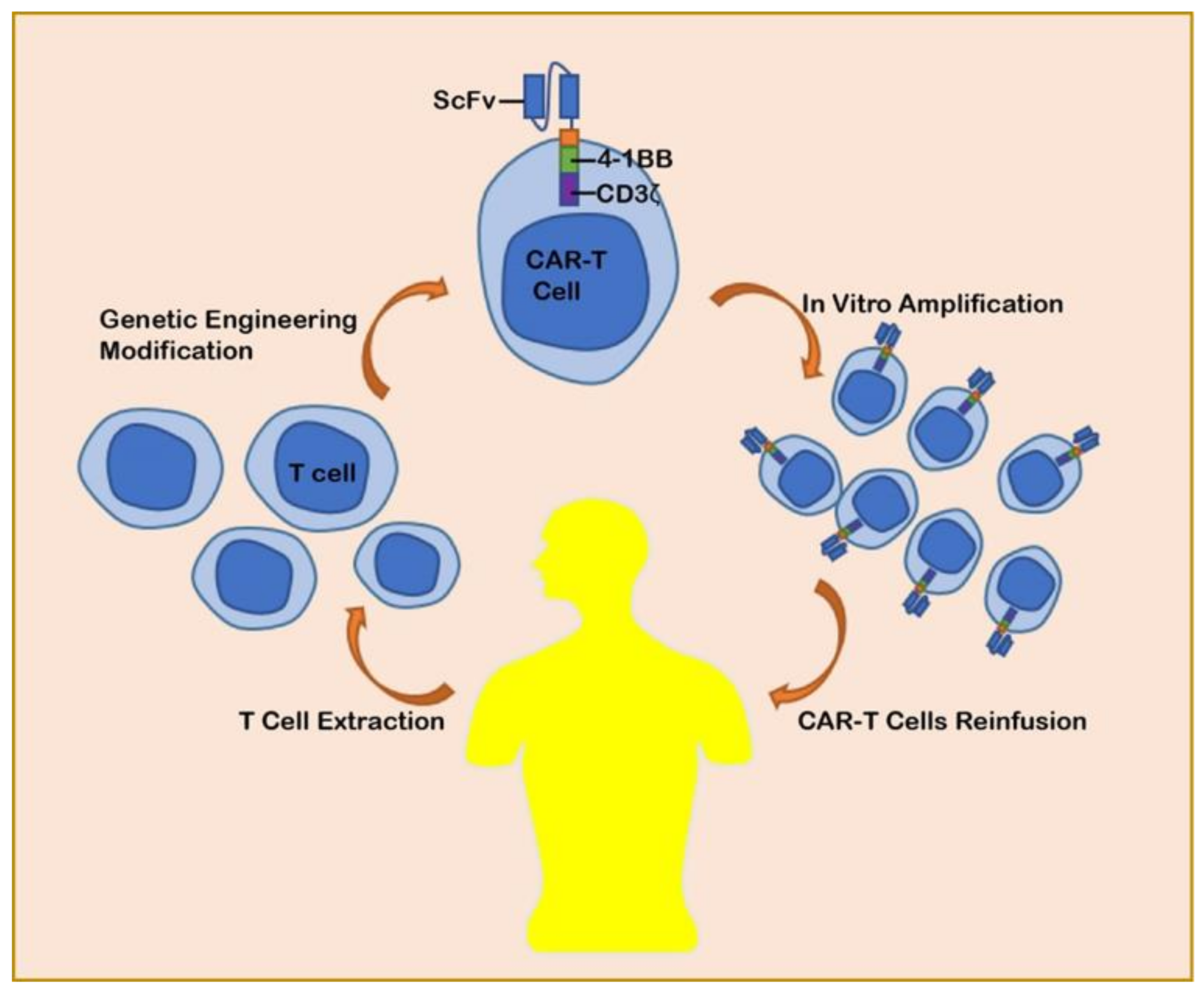 does immunotherapy work for mesothelioma