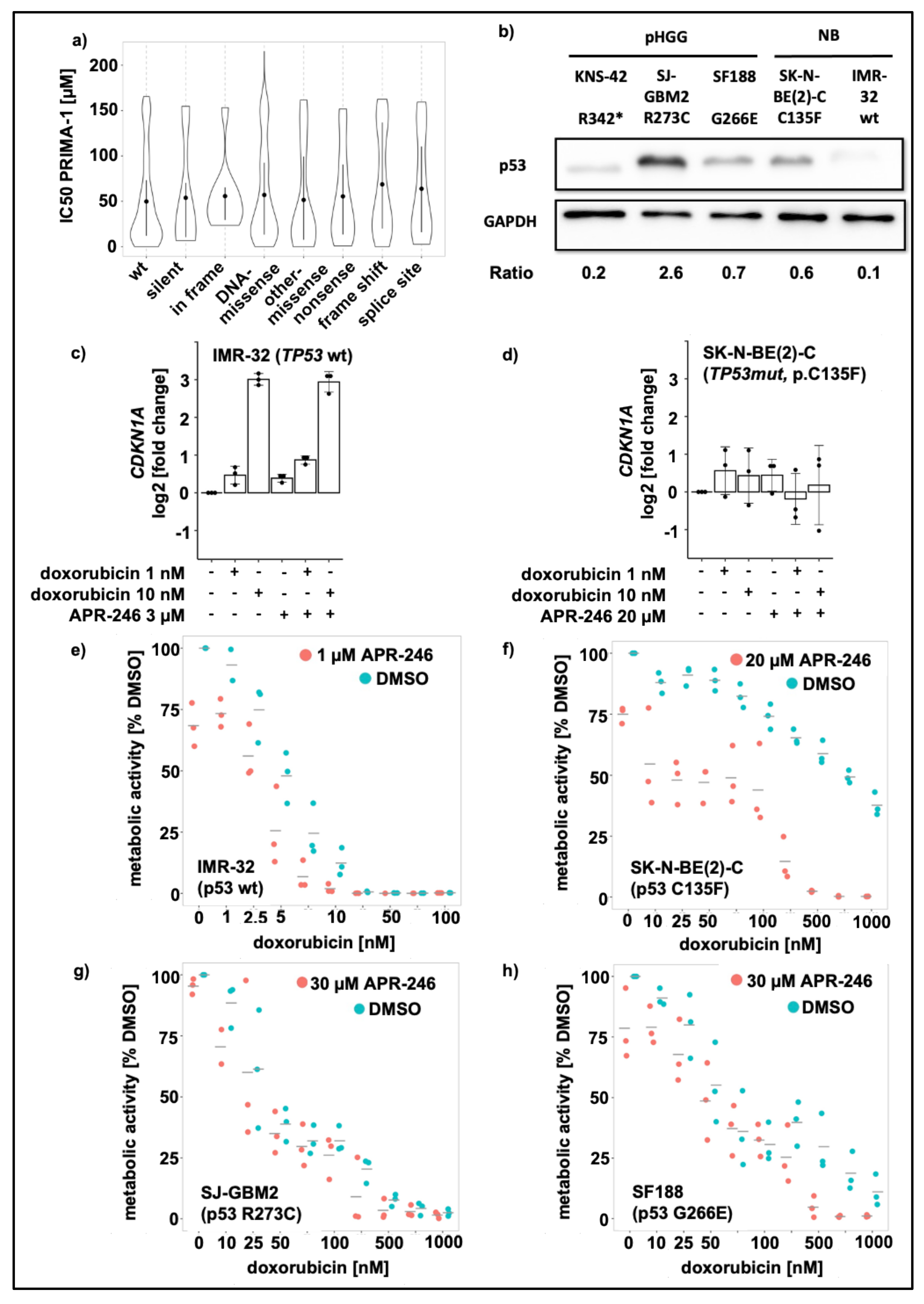 Cancers 13 04476 g001