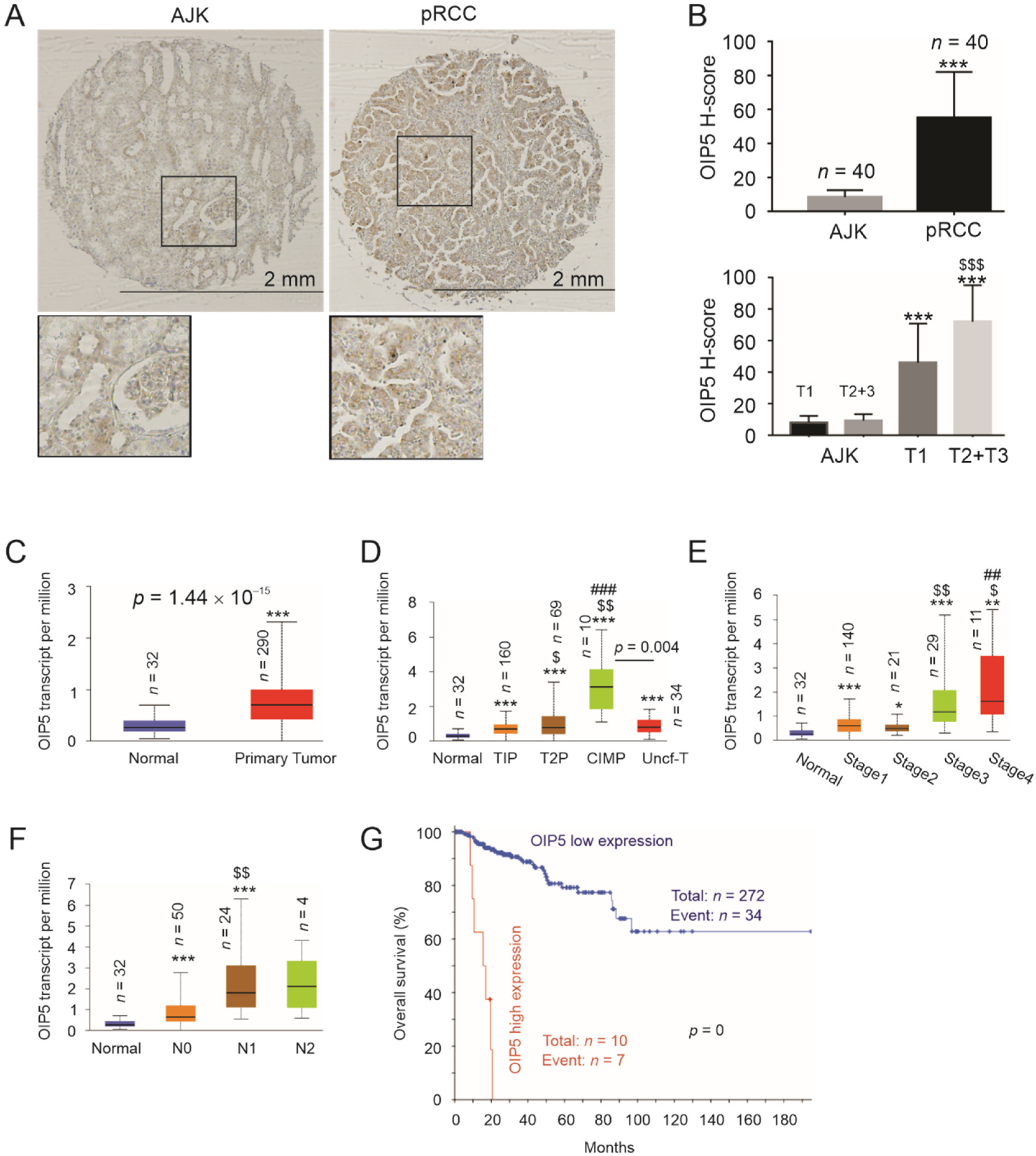 Cancers 13 04483 g001