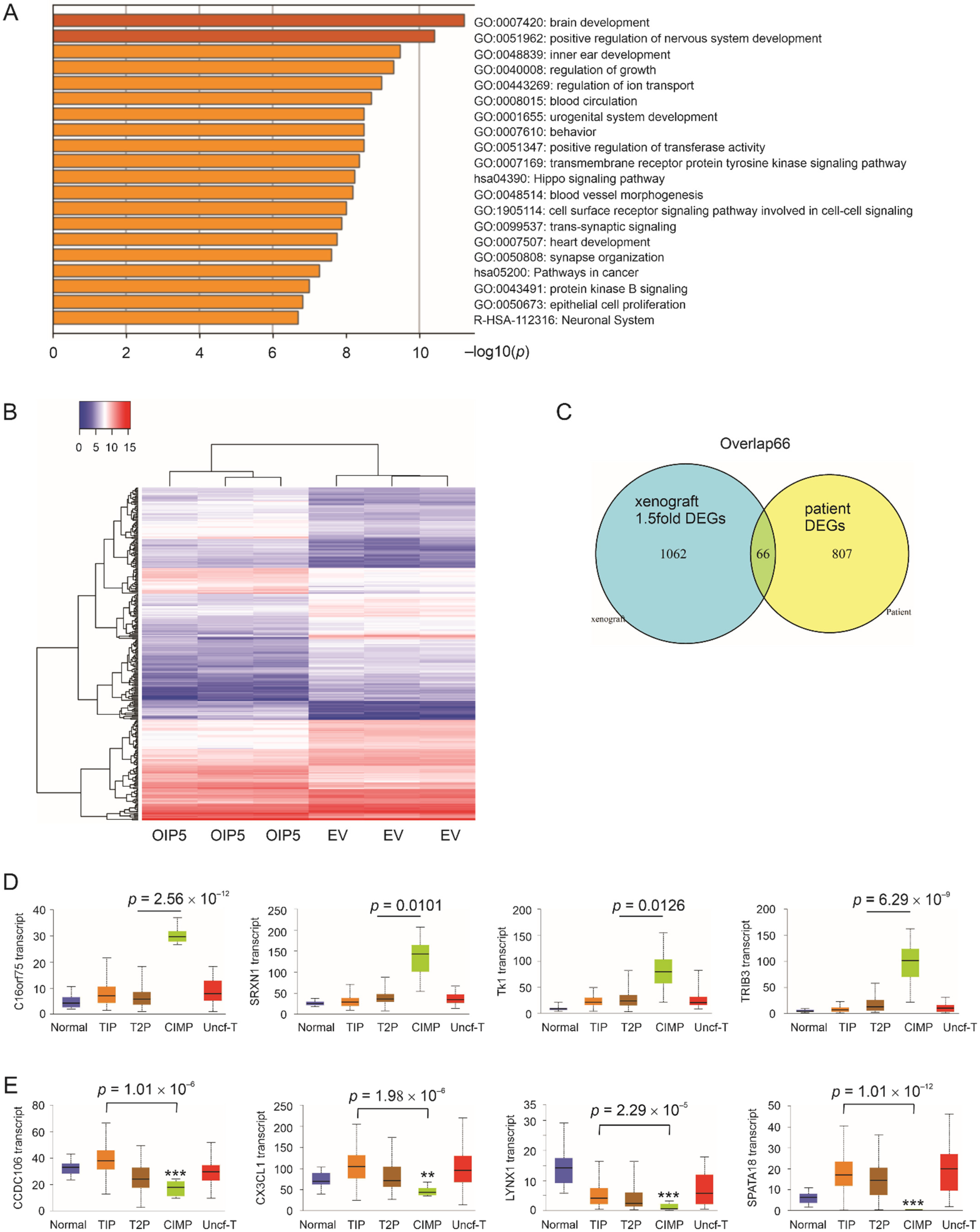 Cancers 13 04483 g004