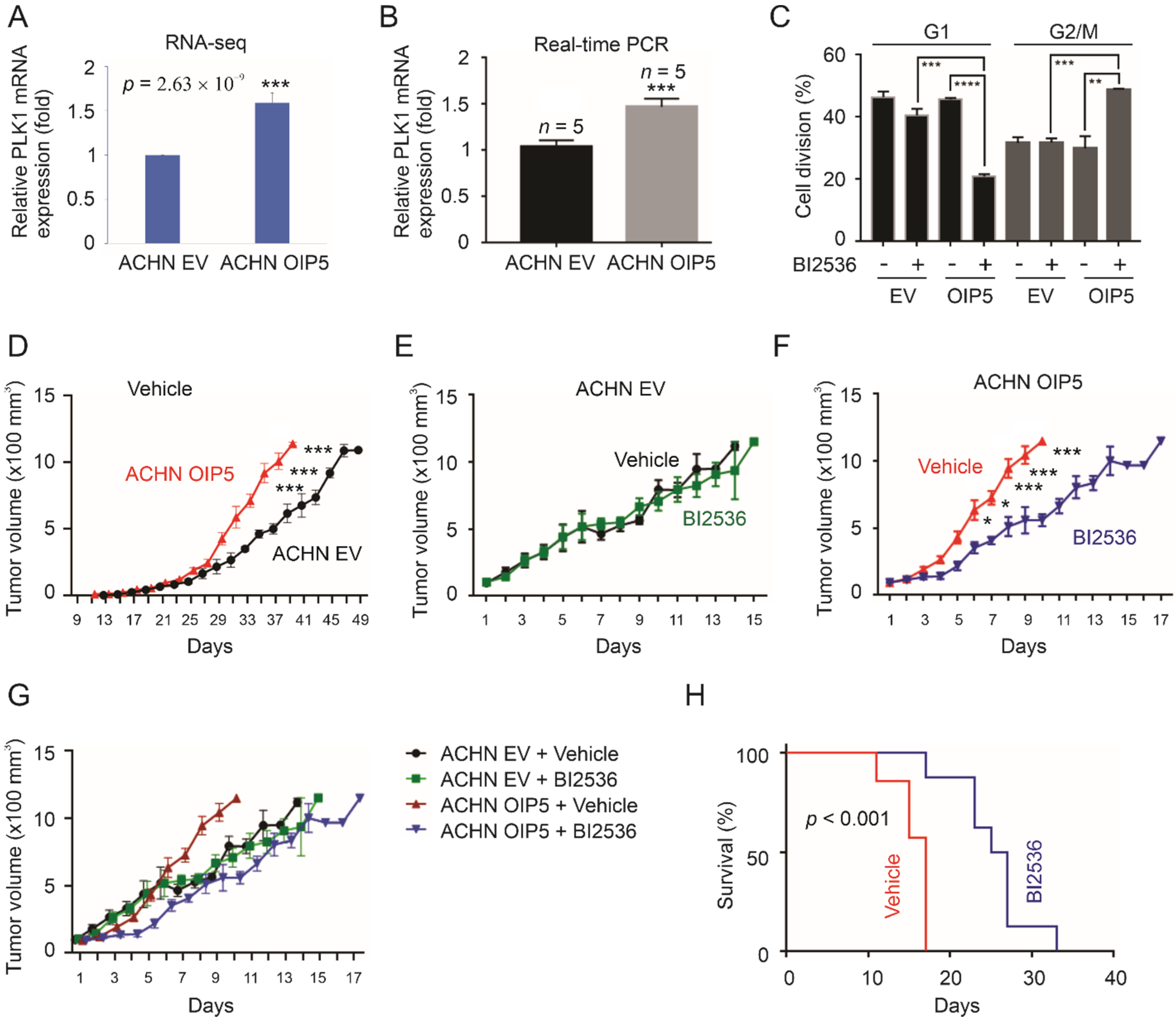 Cancers 13 04483 g009