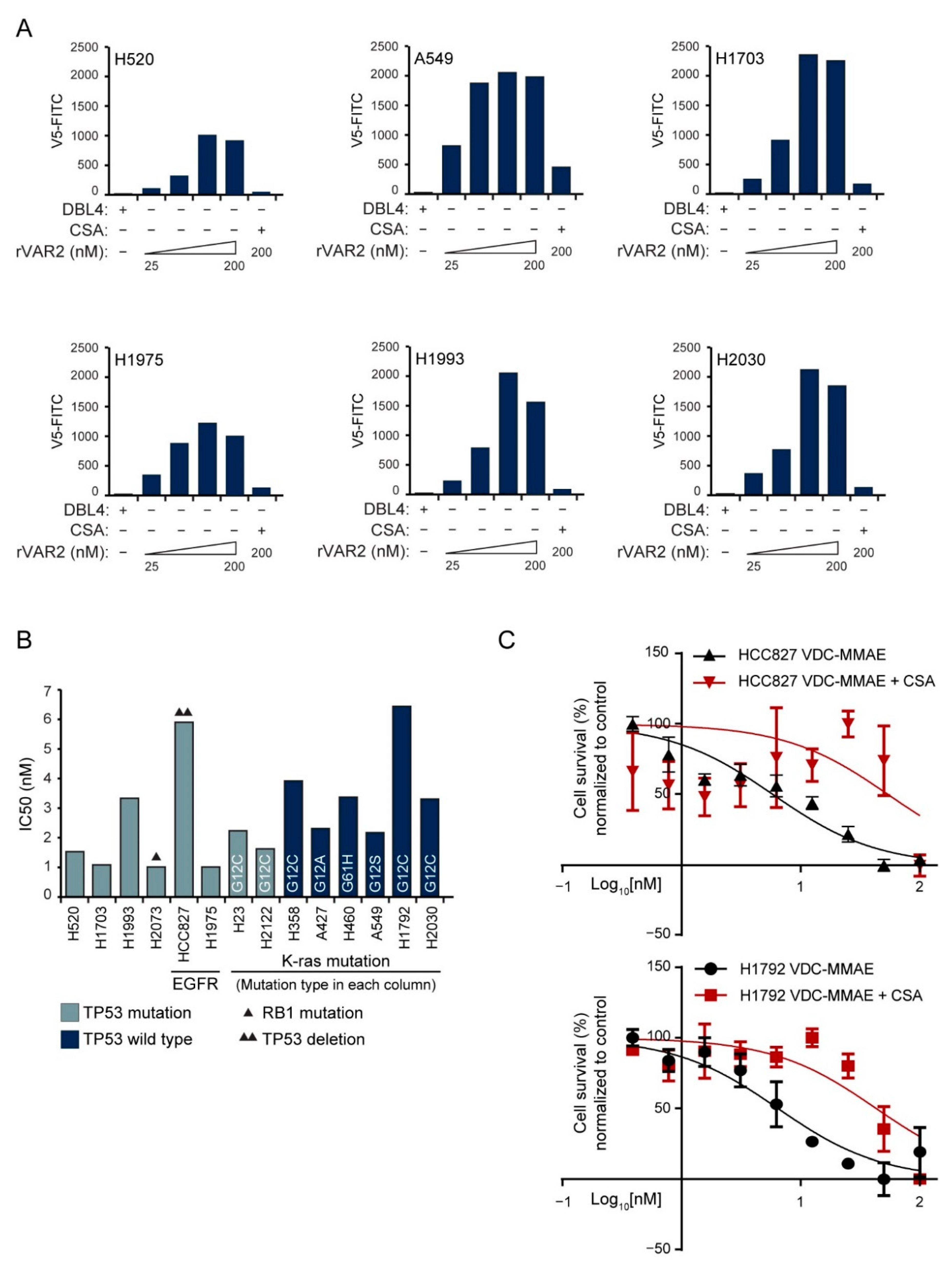 Cancers 13 04489 g002