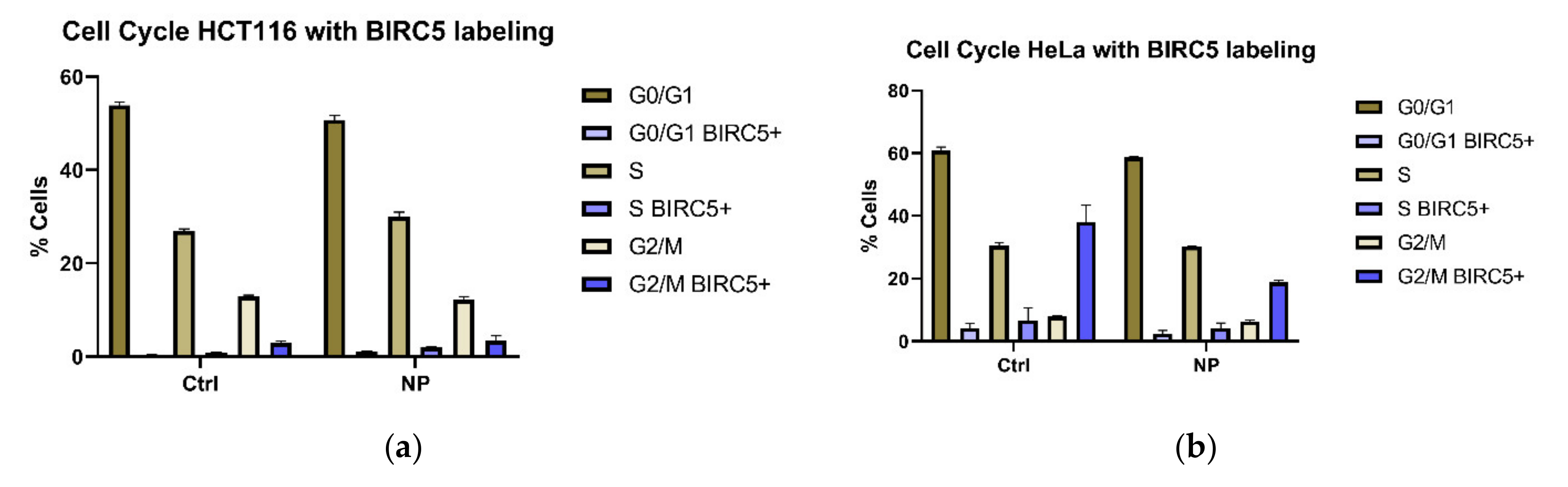 Cancers 13 04497 g002