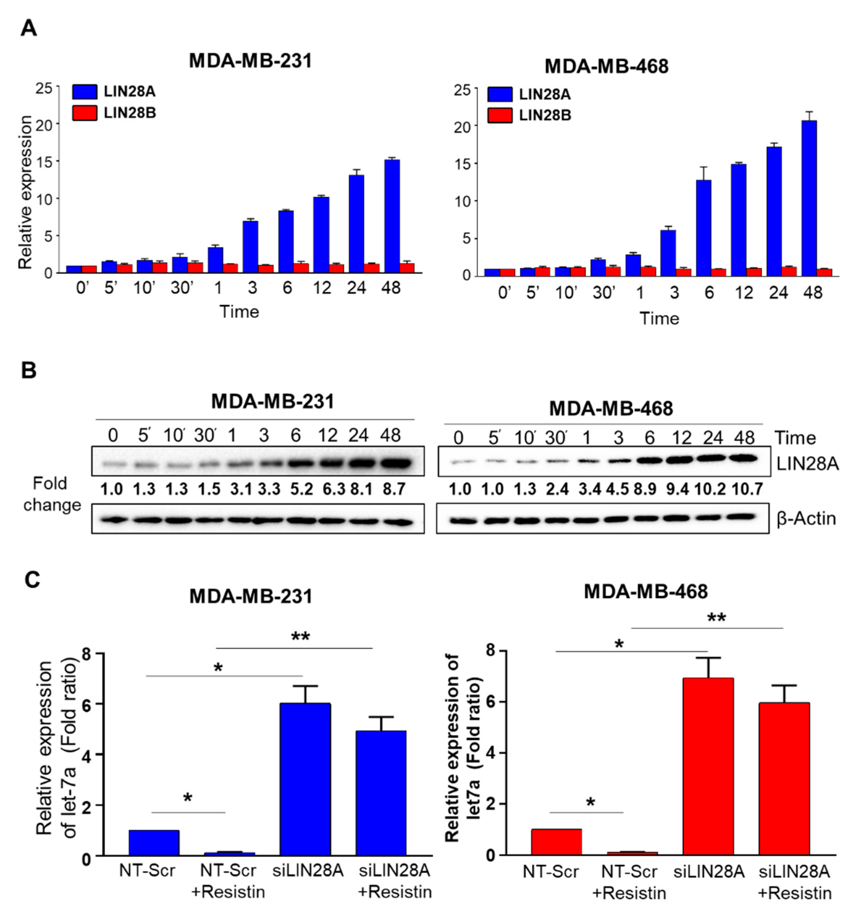 Cancers 13 04498 g002 550