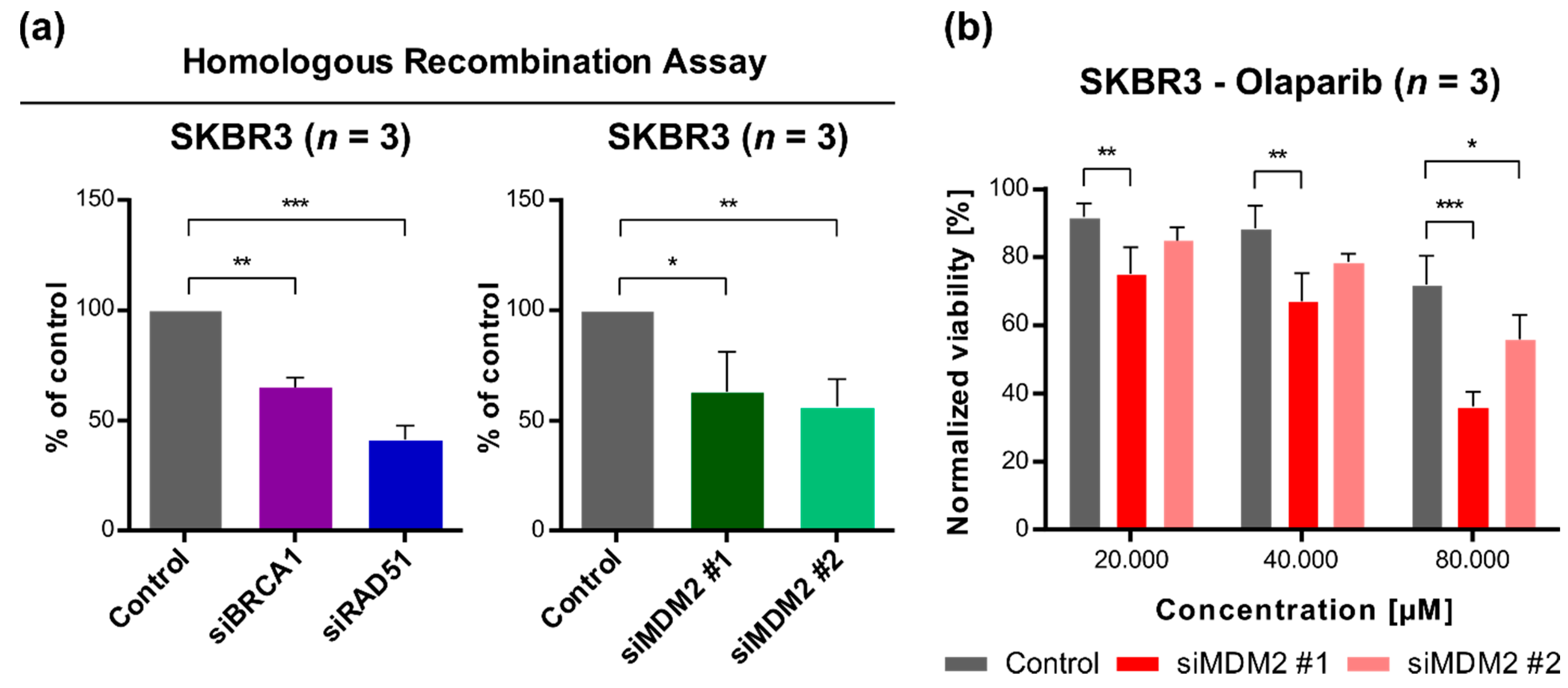 Cancers 13 04501 g004 Cancers 13 04501 g004