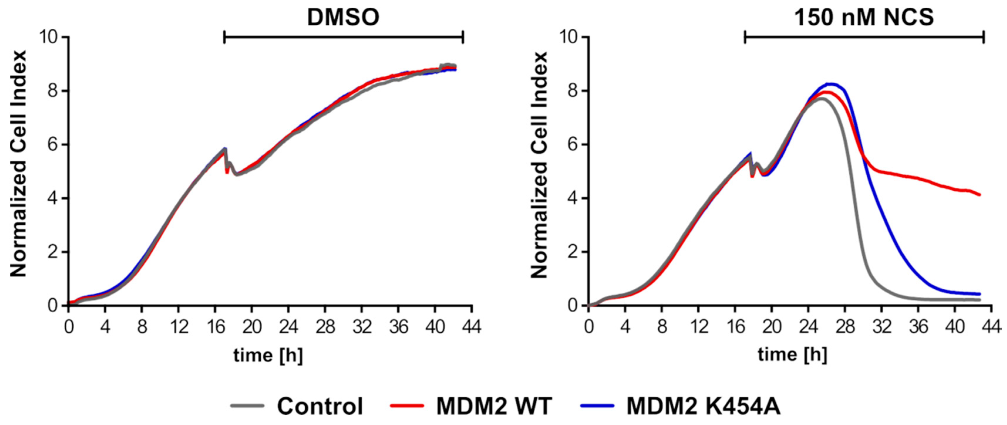 Cancers 13 04501 g008 Cancers 13 04501 g008