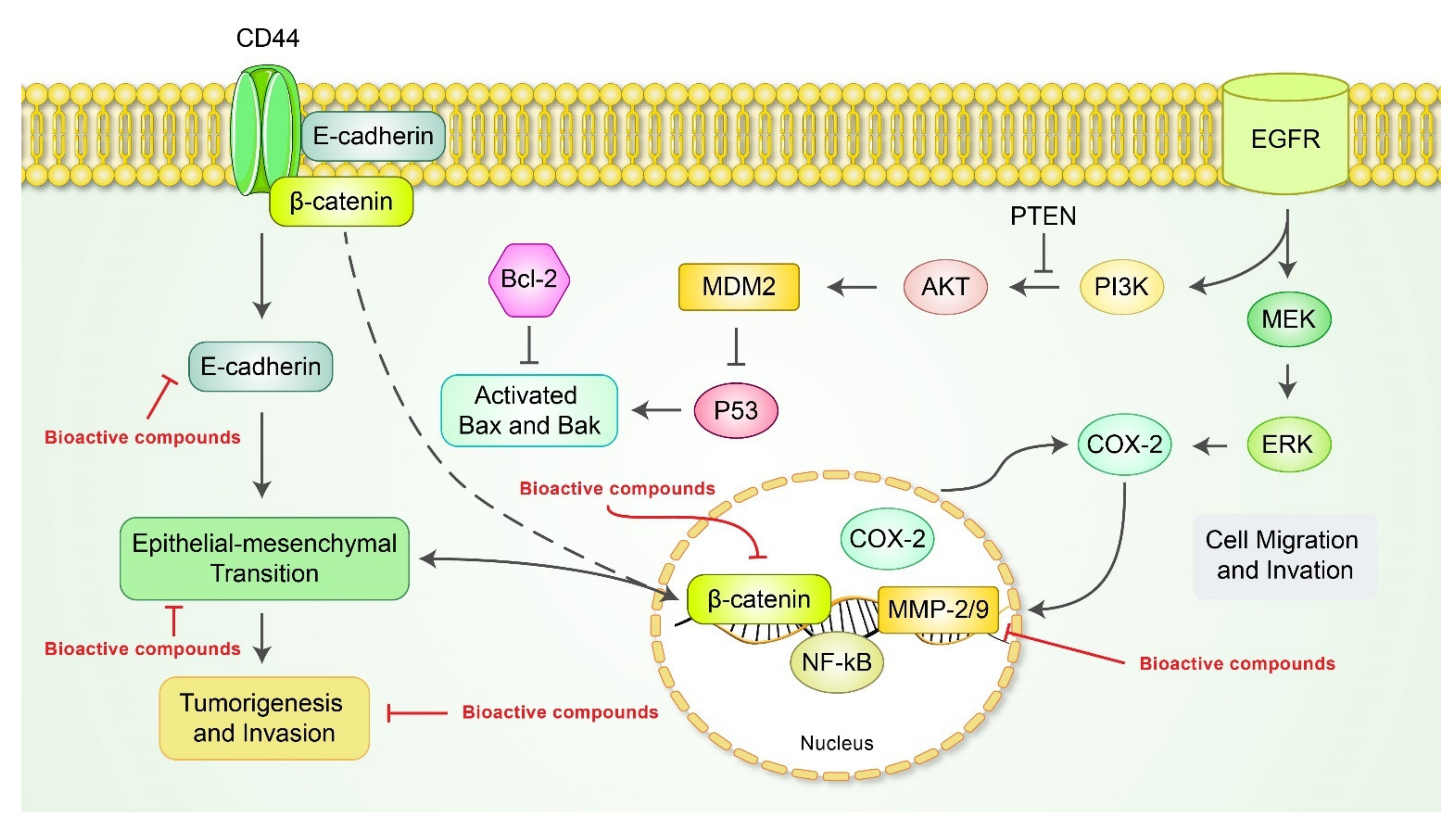 Cancers 13 04502 g004 Cancers 13 04502 g004