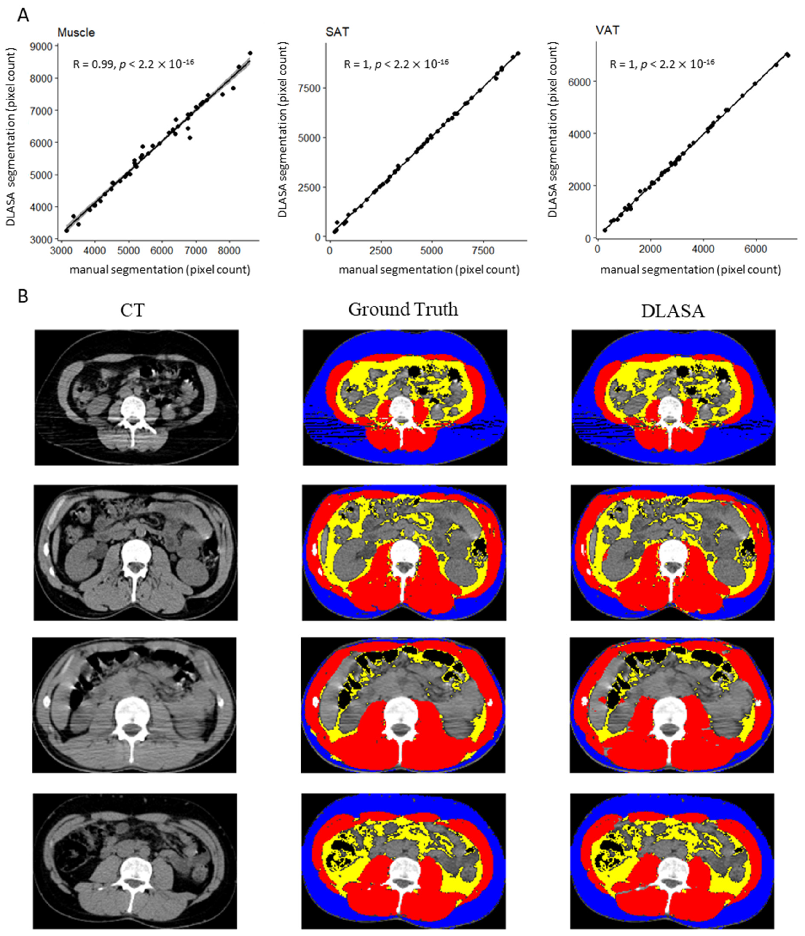 Cancers 13 04503 g001