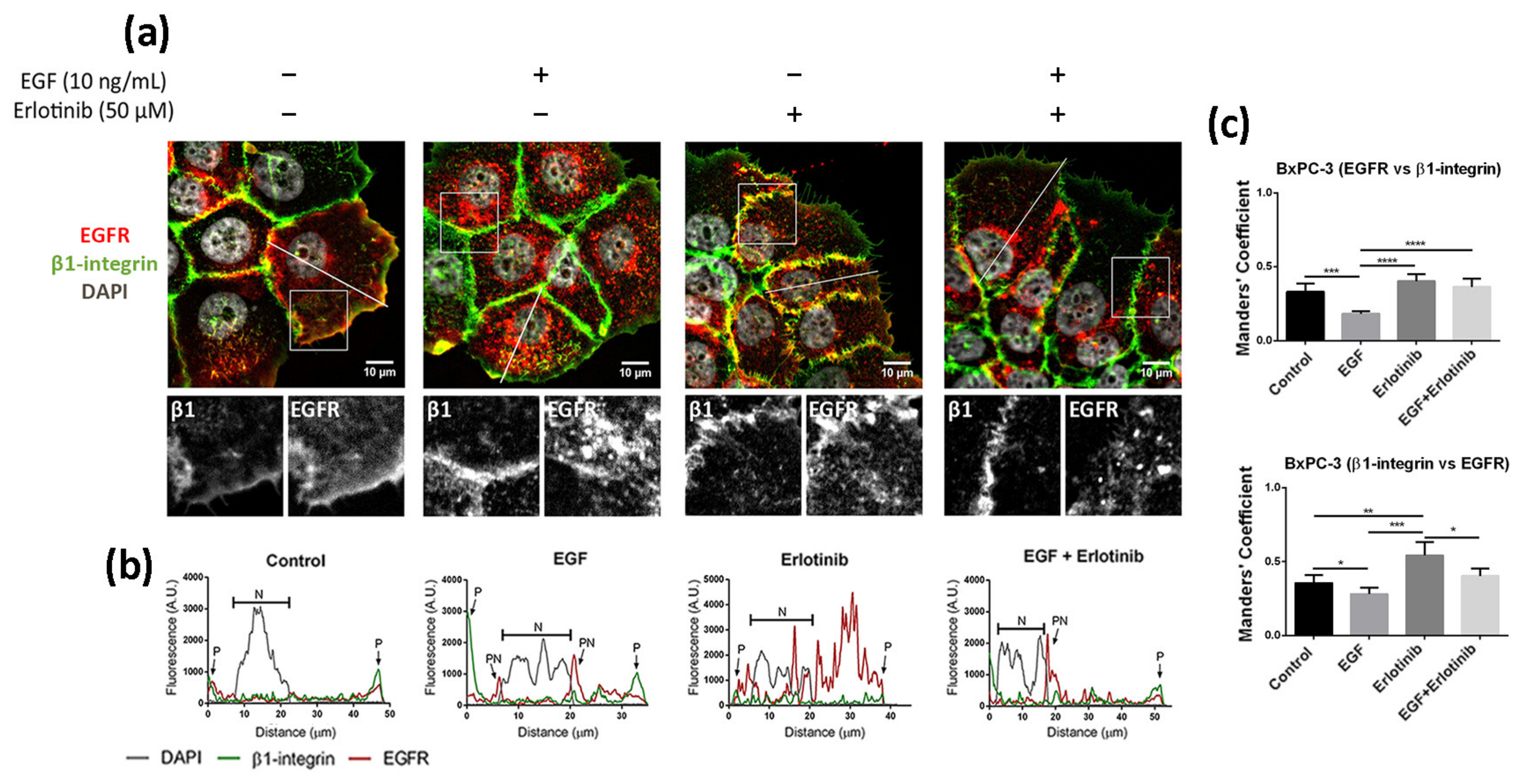 Cancers 13 04504 g004