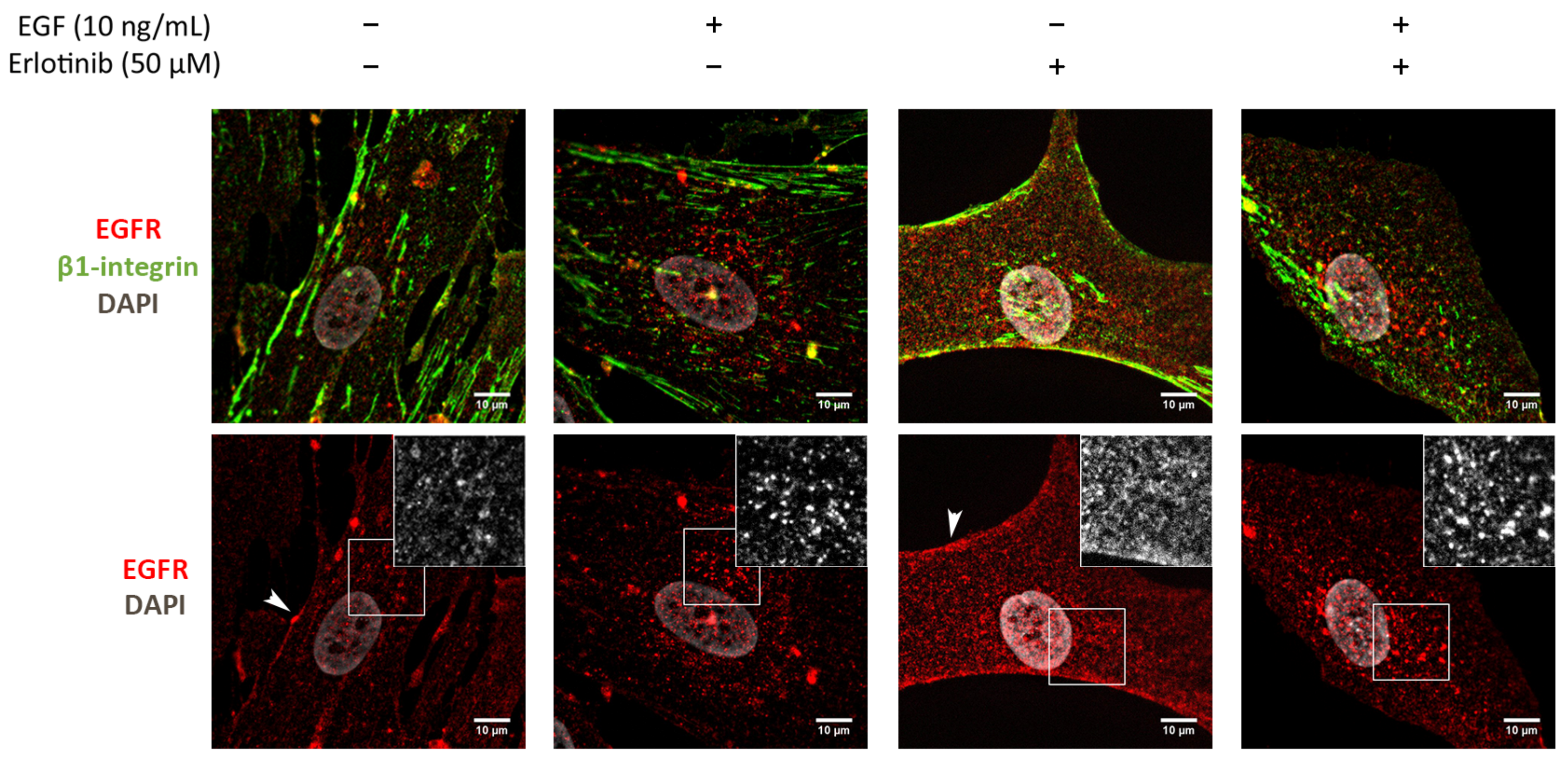 Cancers 13 04504 g005