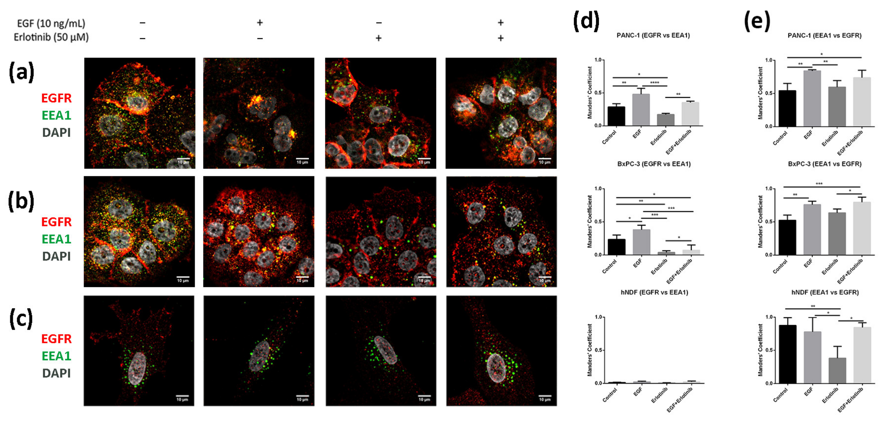 Cancers 13 04504 g009