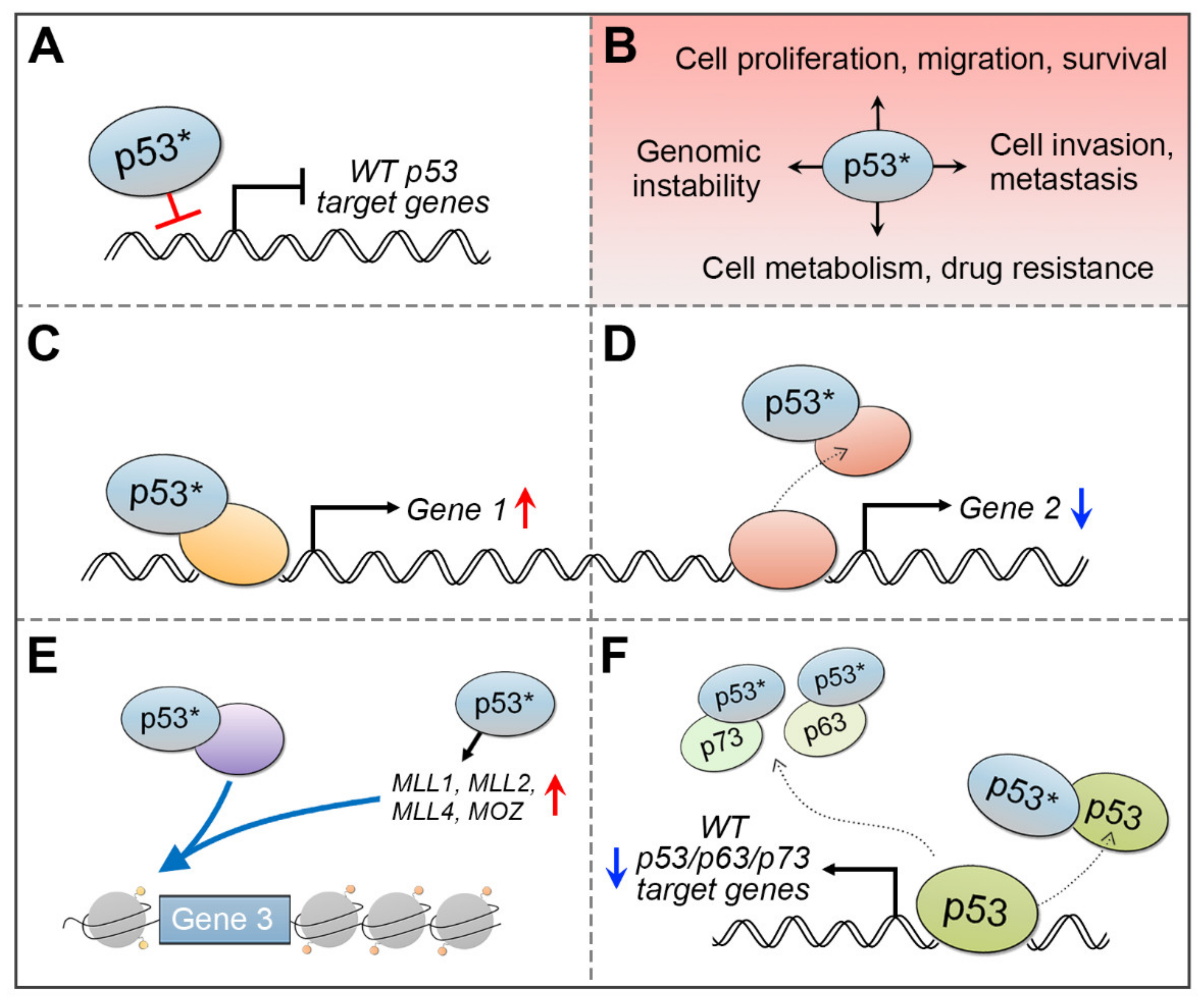 Cancers 13 04507 g004 Cancers 13 04507 g004