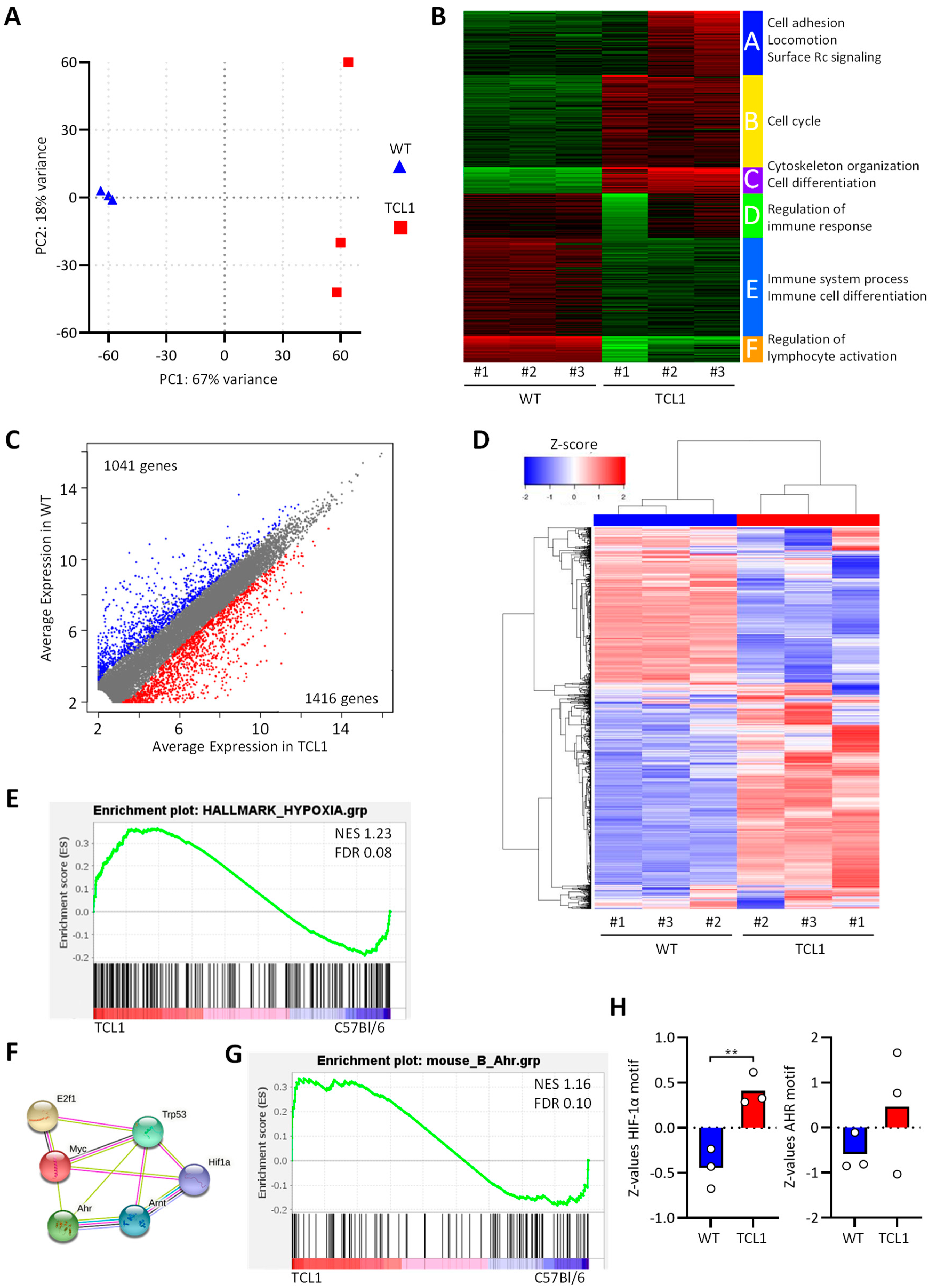 Cancers 13 04518 g001 Cancers 13 04518 g001