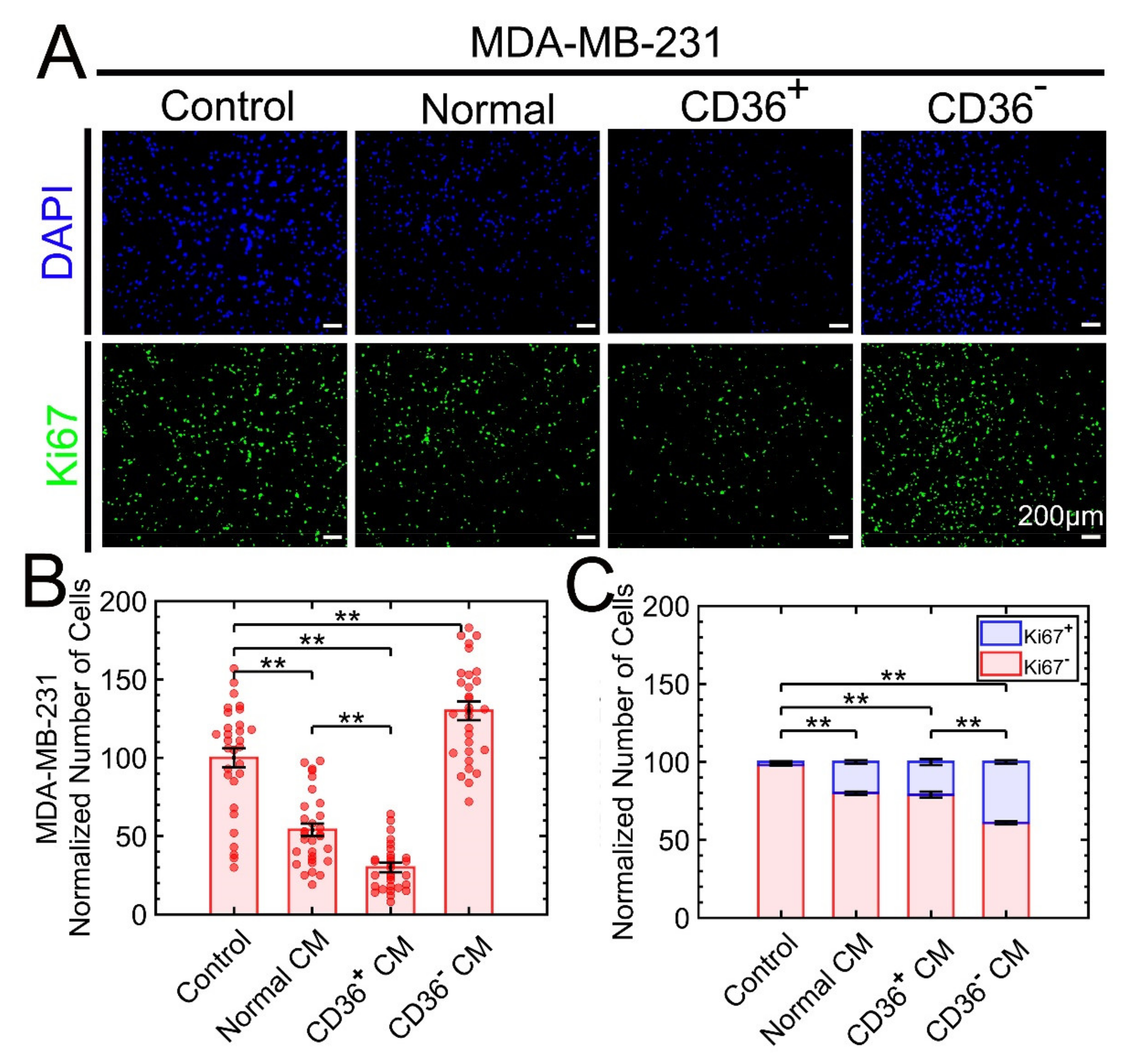Cancers 13 04521 g001 Cancers 13 04521 g001