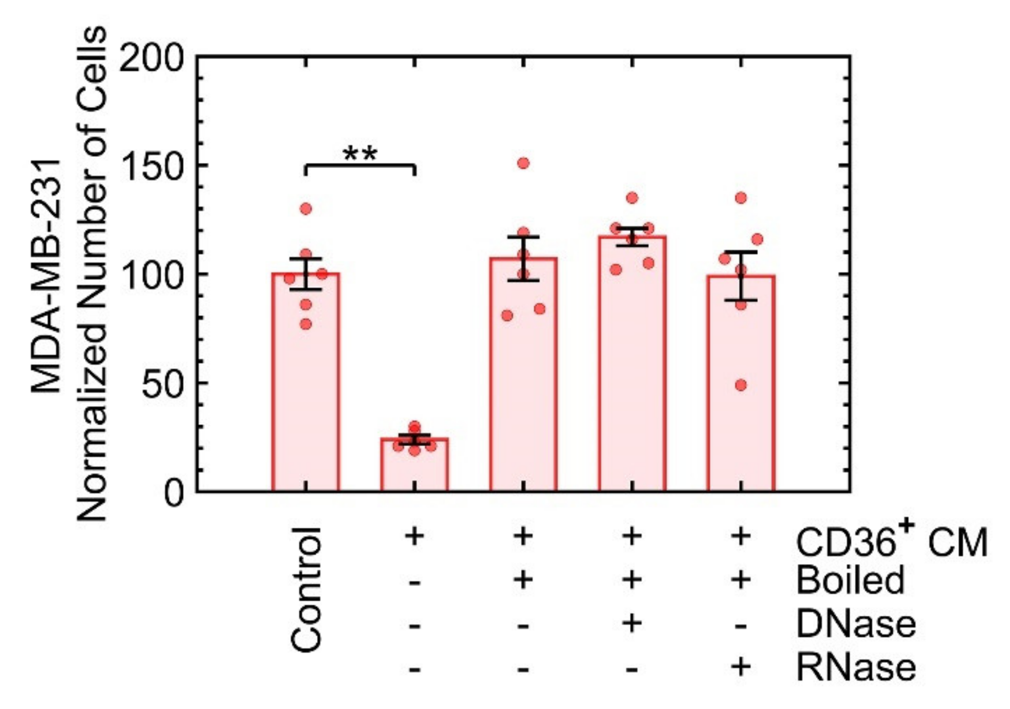Cancers 13 04521 g004 Cancers 13 04521 g004