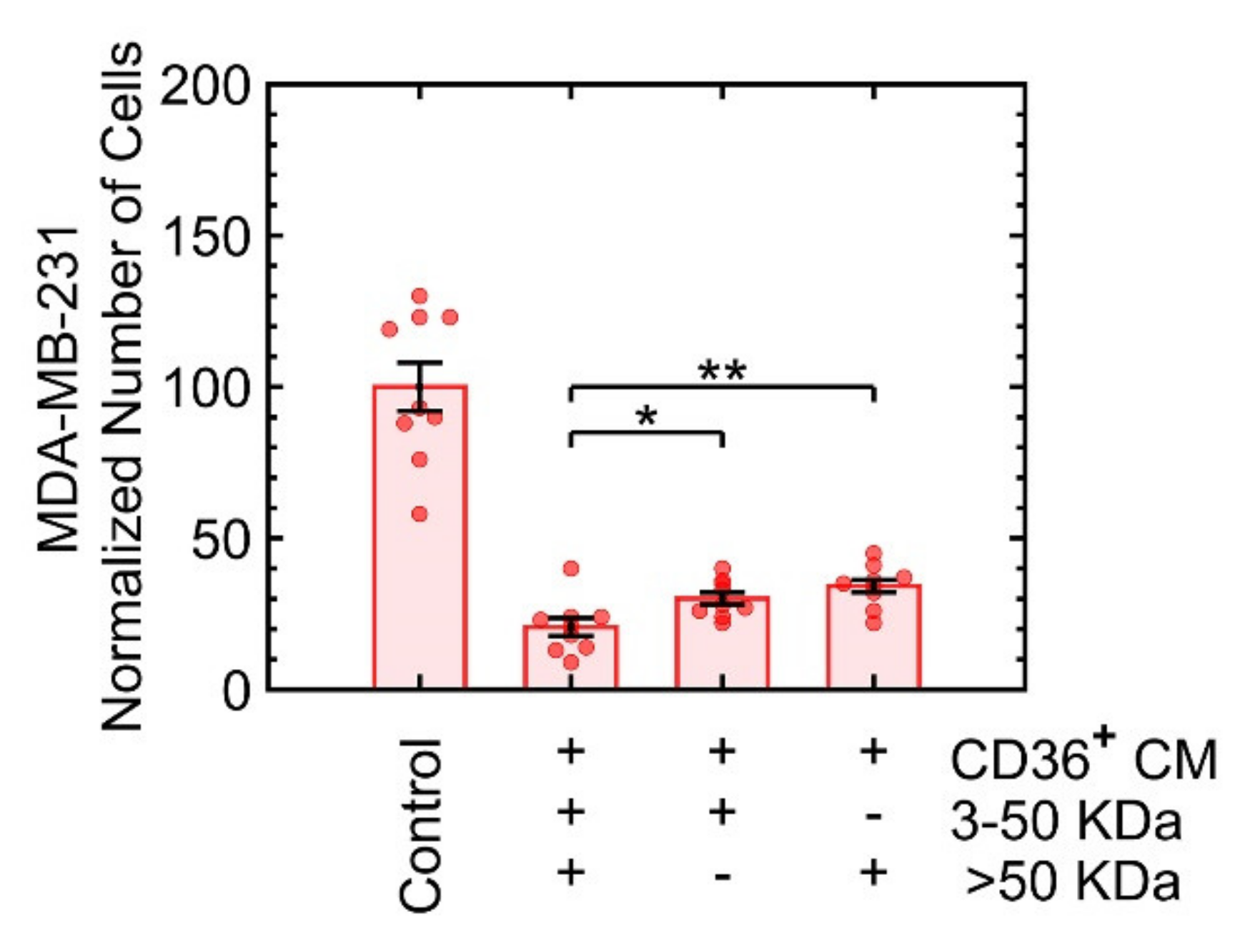 Cancers 13 04521 g005 Cancers 13 04521 g005