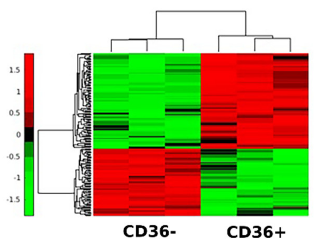 Cancers 13 04521 g007 Cancers 13 04521 g007