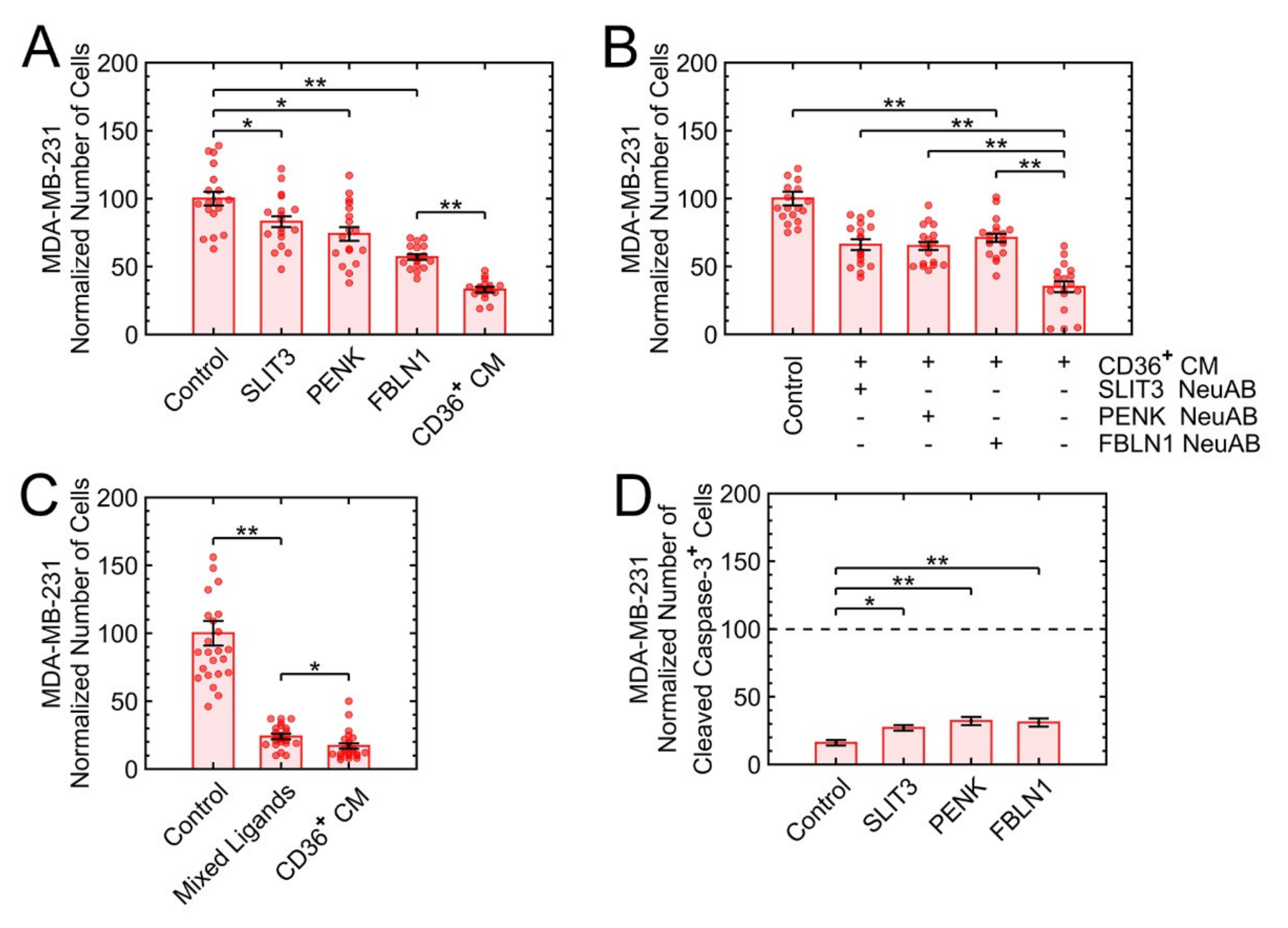 Cancers 13 04521 g008 Cancers 13 04521 g008