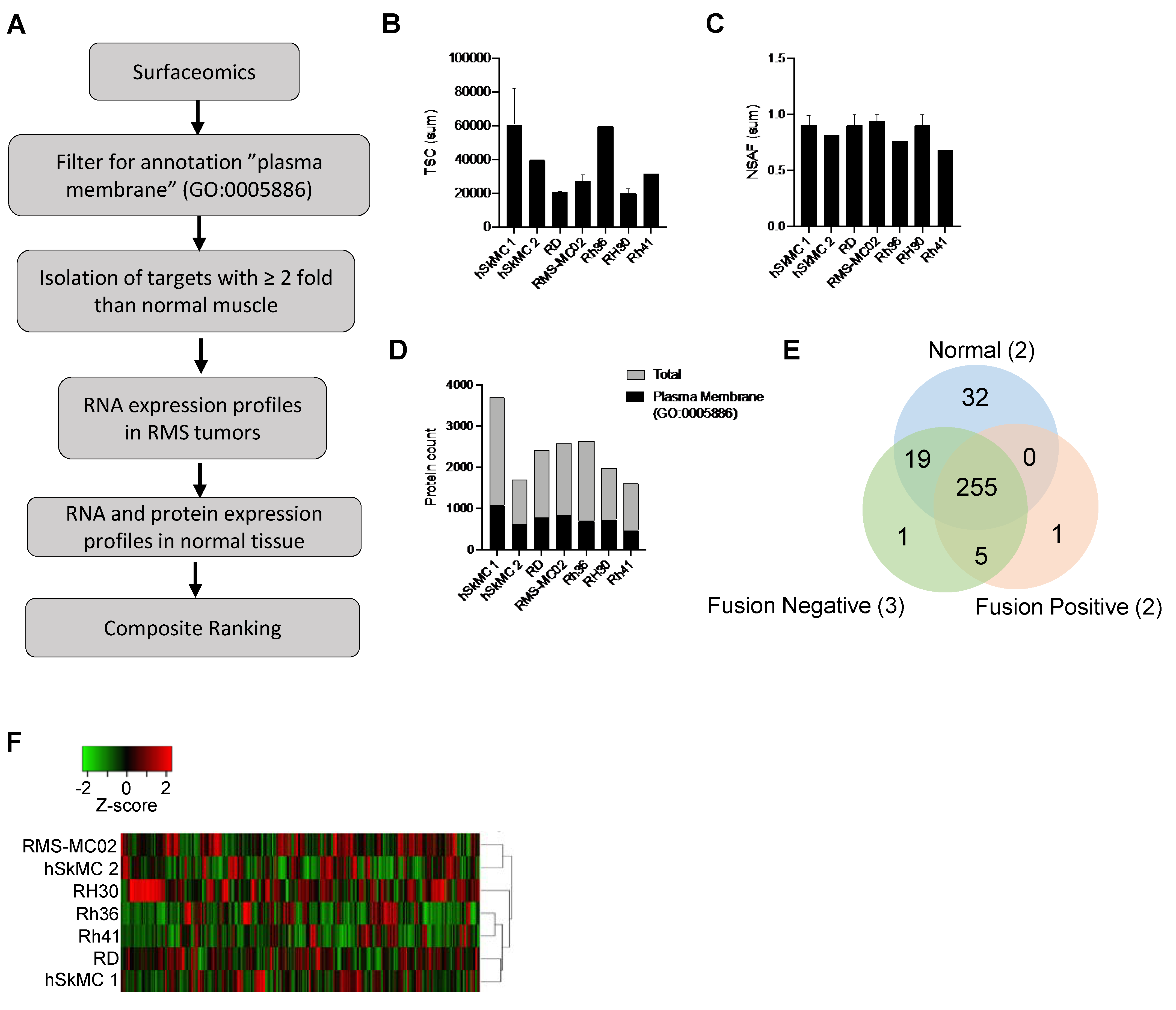 Cancers 13 04528 g001 550