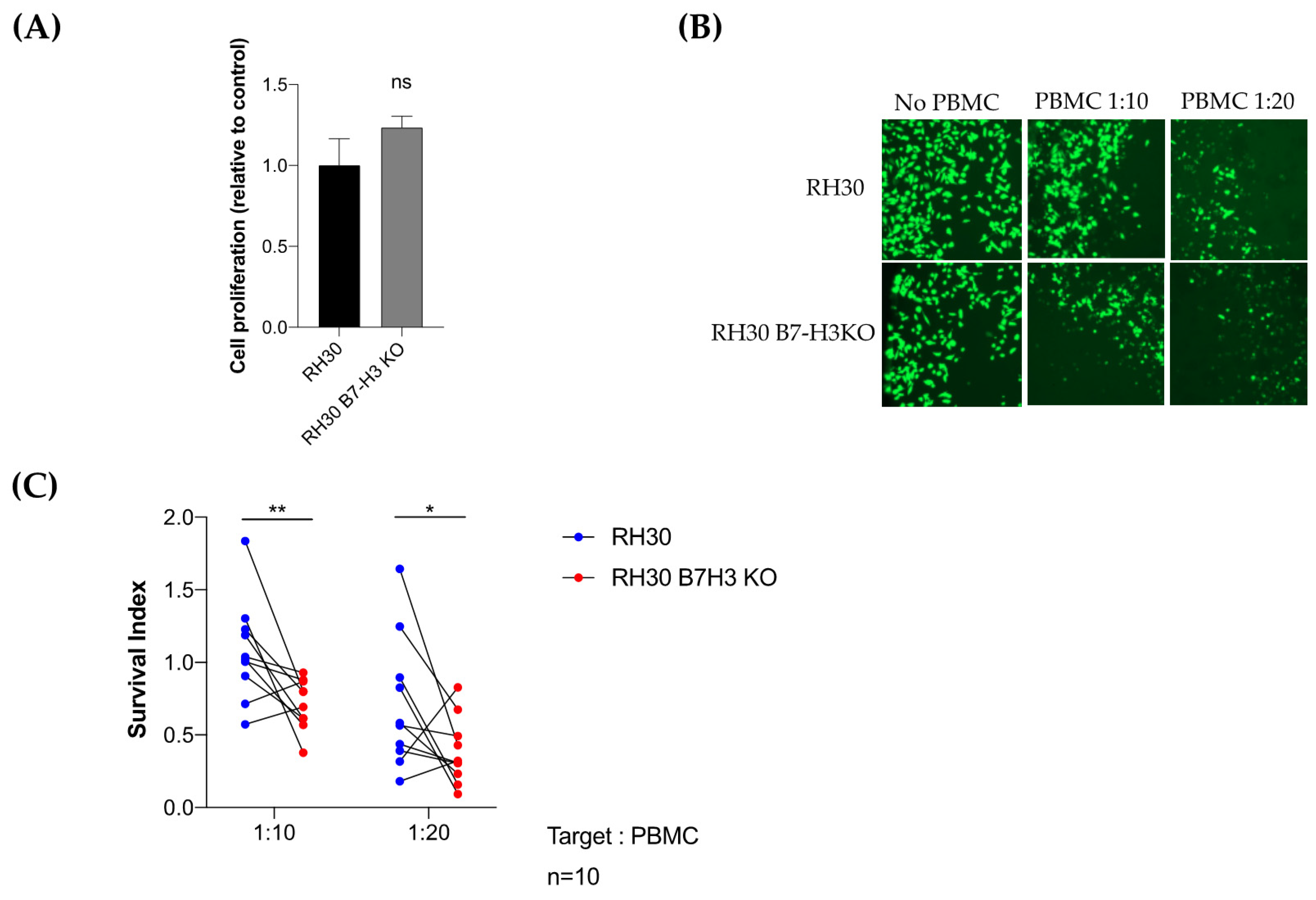Cancers 13 04528 g006 550
