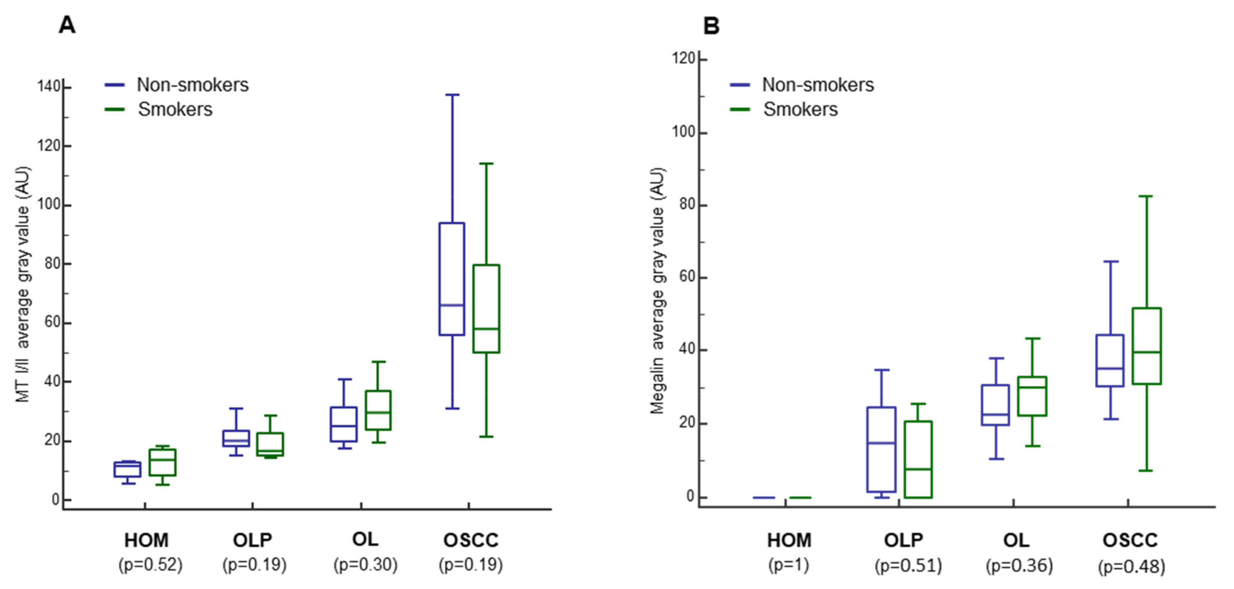 Cancers 13 04530 g007