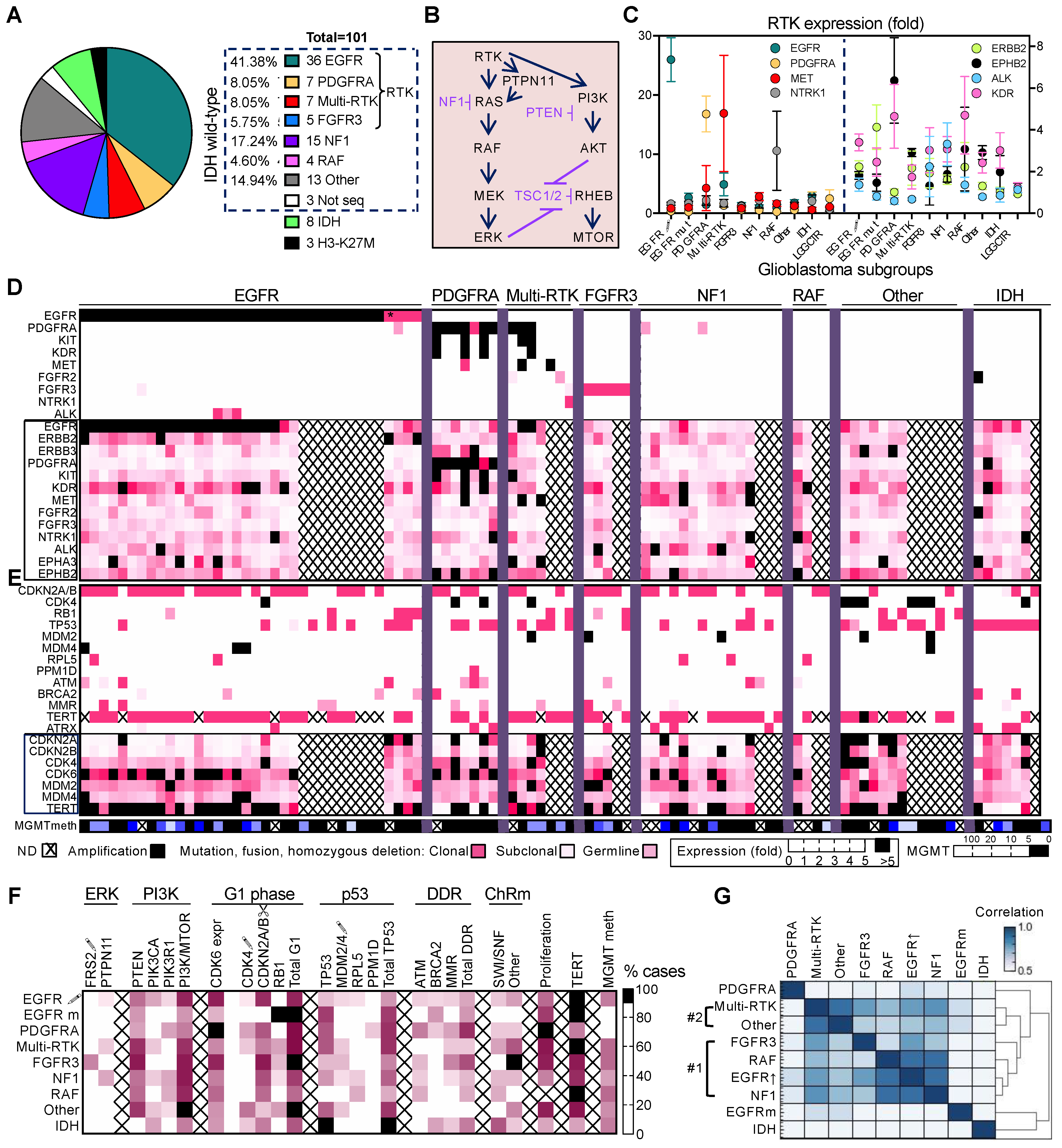 Cancers 13 04532 g001 Cancers 13 04532 g001