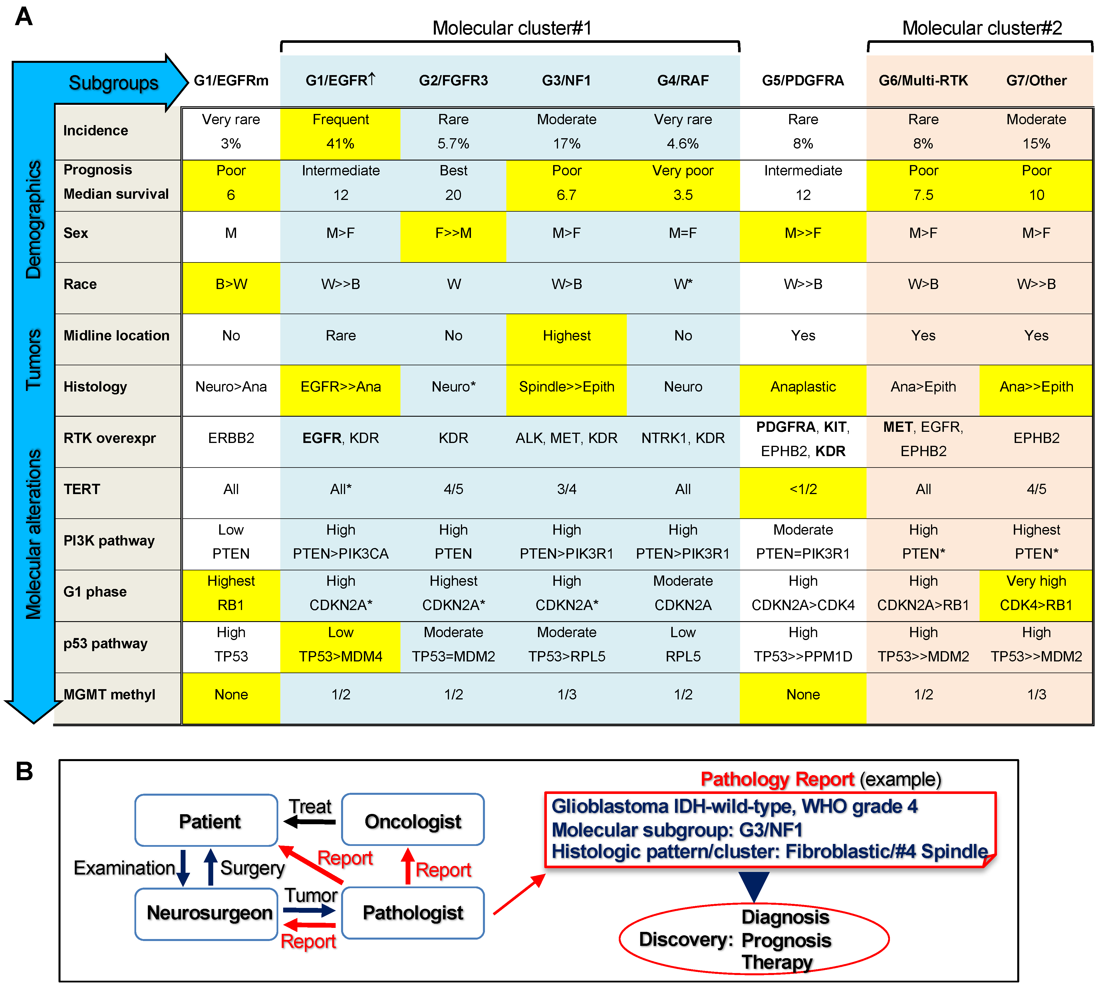 Cancers 13 04532 g004 Cancers 13 04532 g004