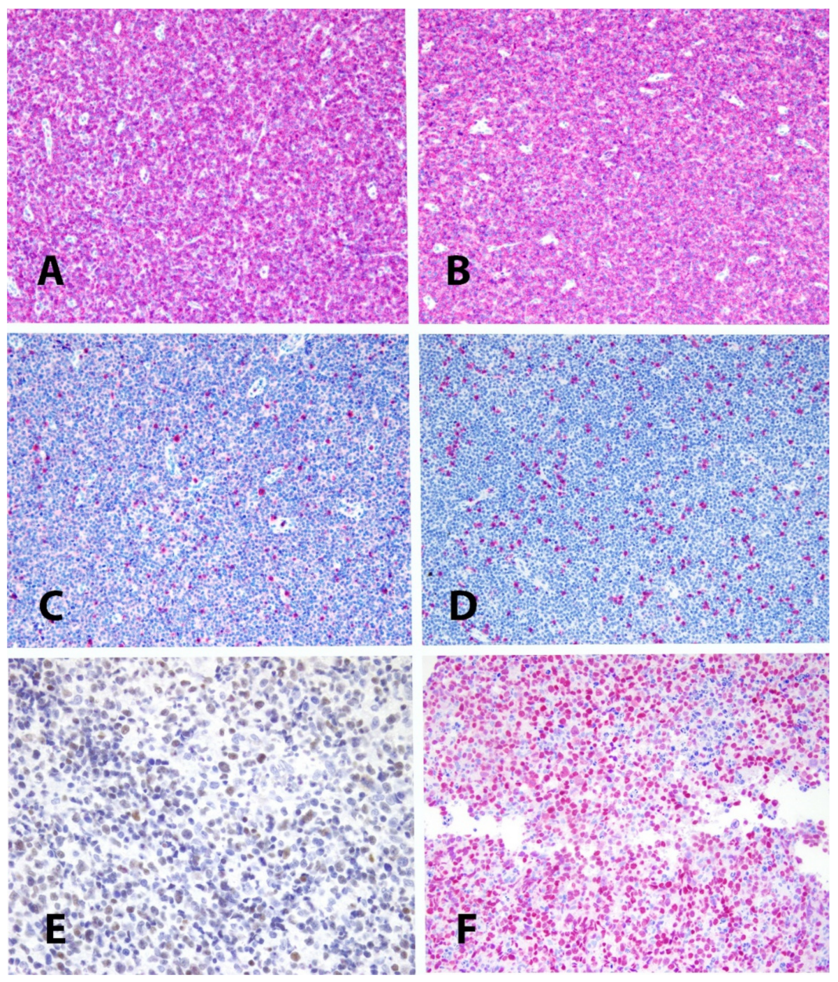 Cancers 13 04535 g002