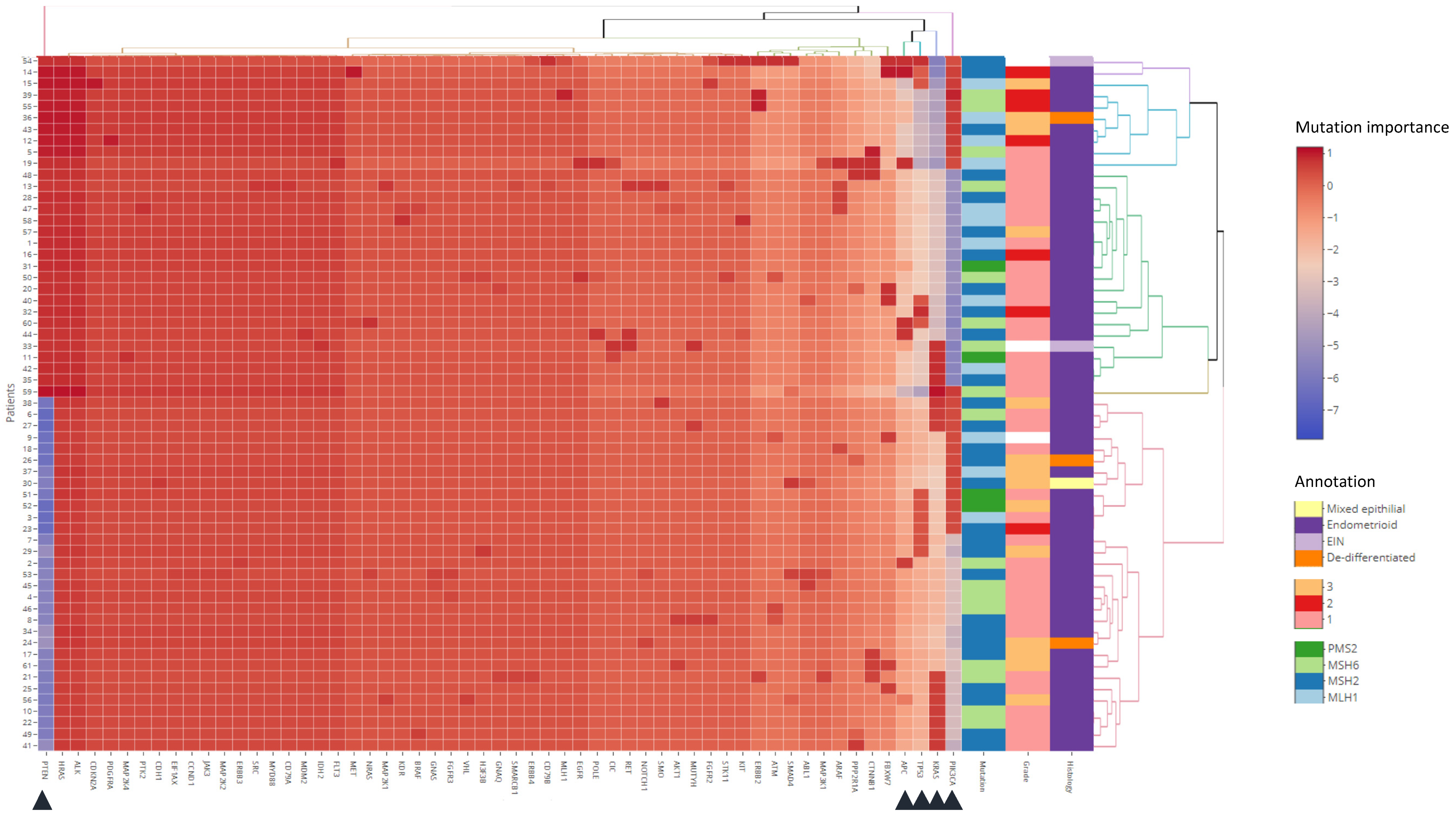 Cancers 13 04538 g004