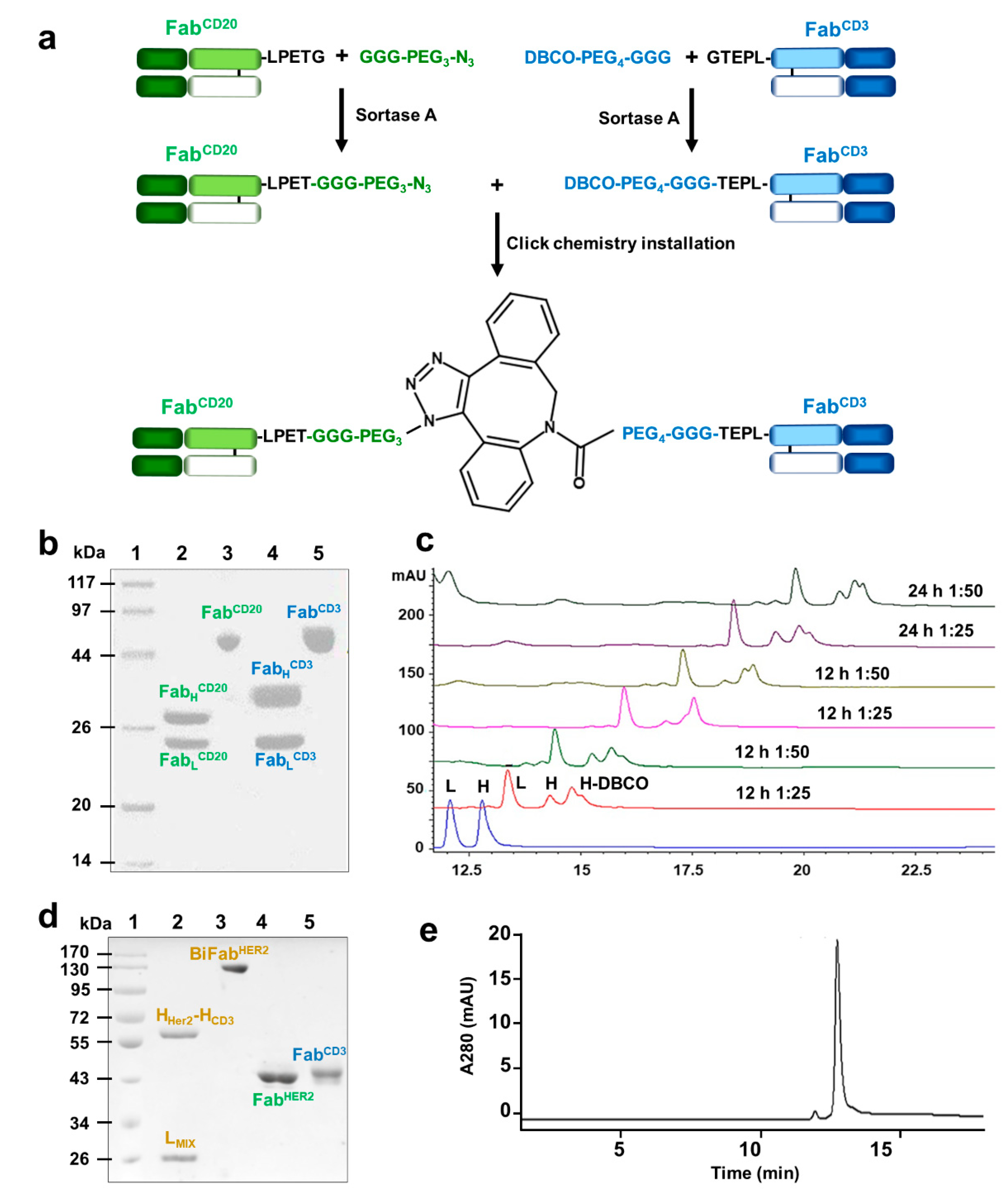 Cancers 13 04540 g001 550