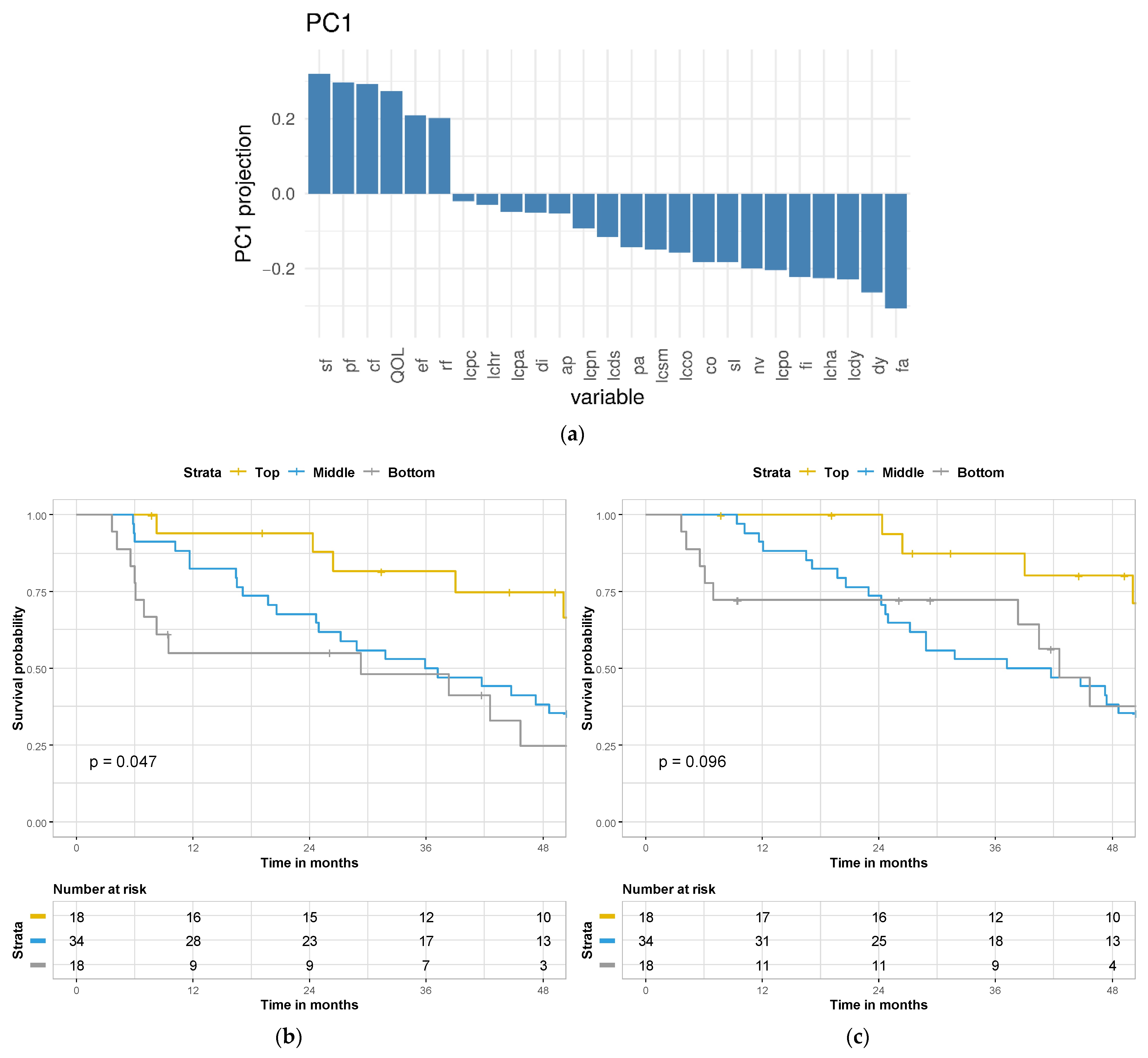 Cancers 13 04542 g001 550