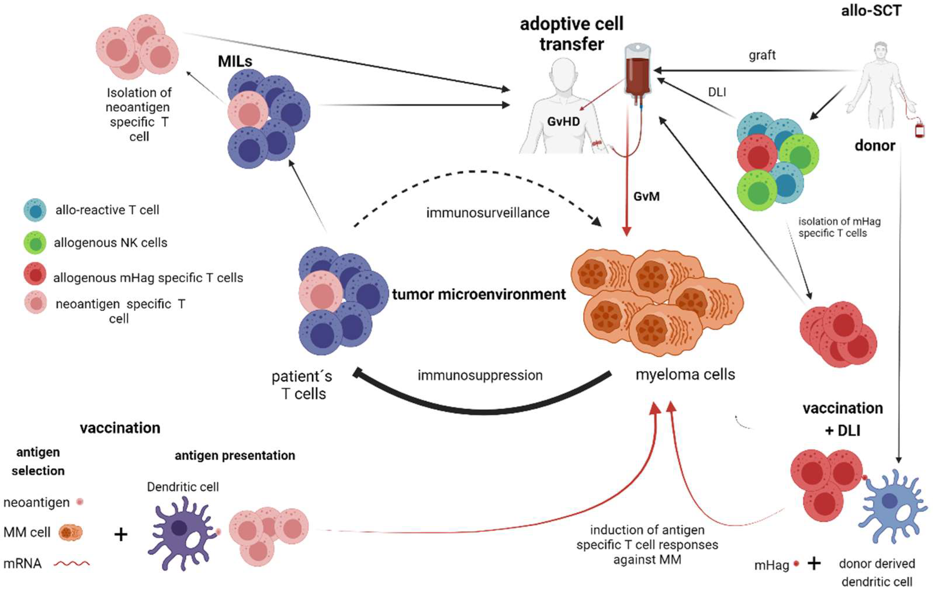 Cancers 13 04546 g002 550