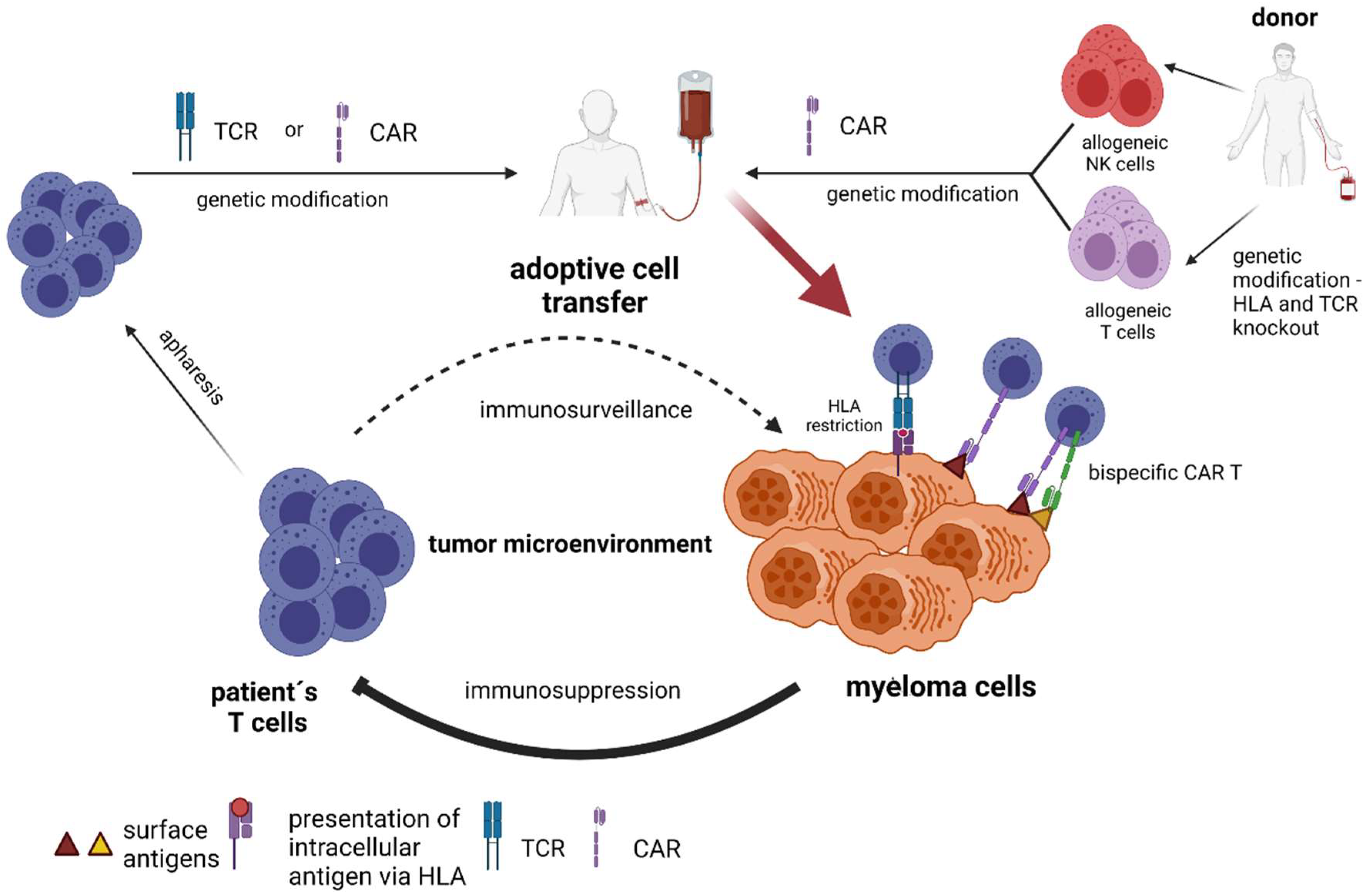 Cancers 13 04546 g003 550