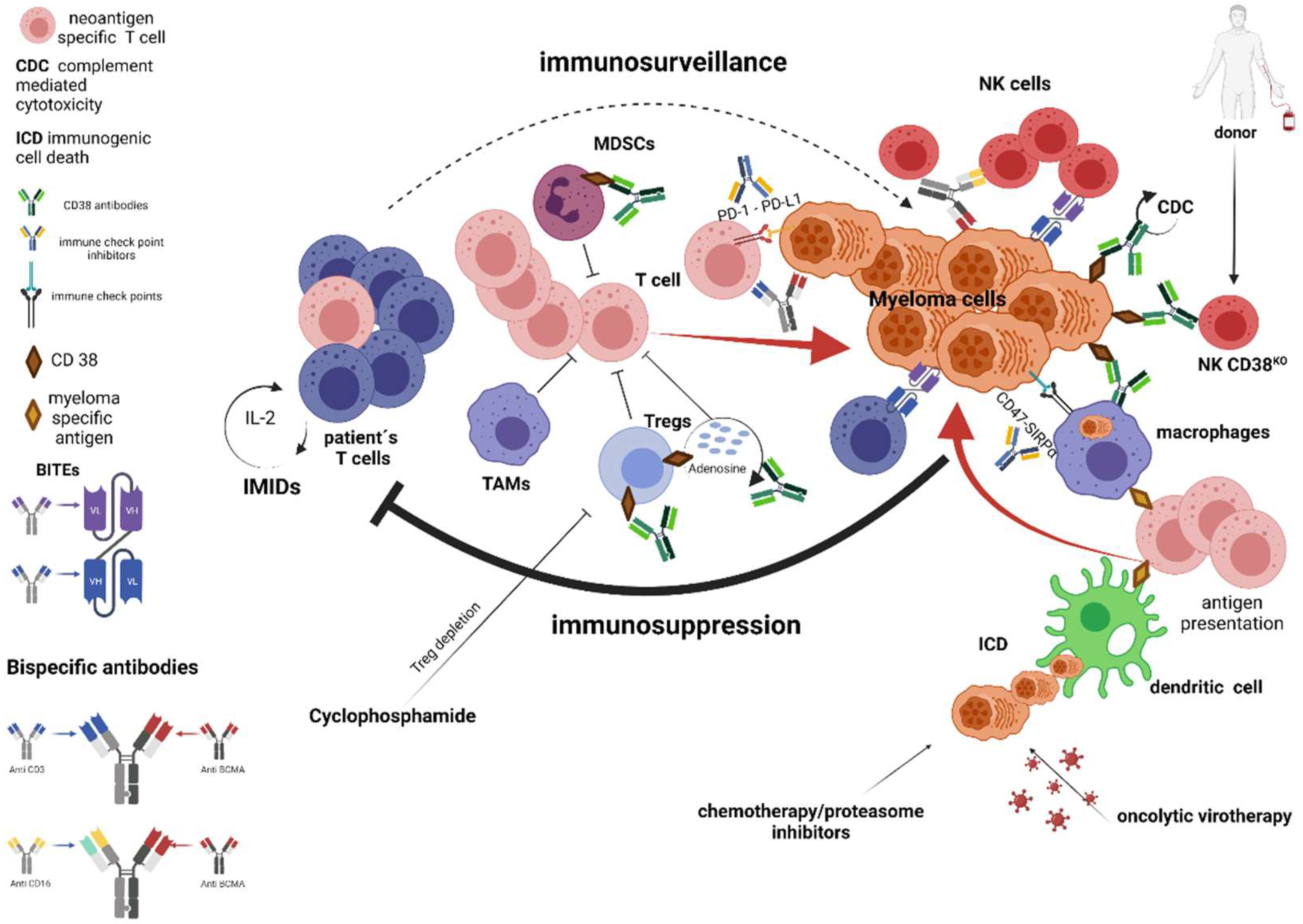 Cancers 13 04546 g004 550