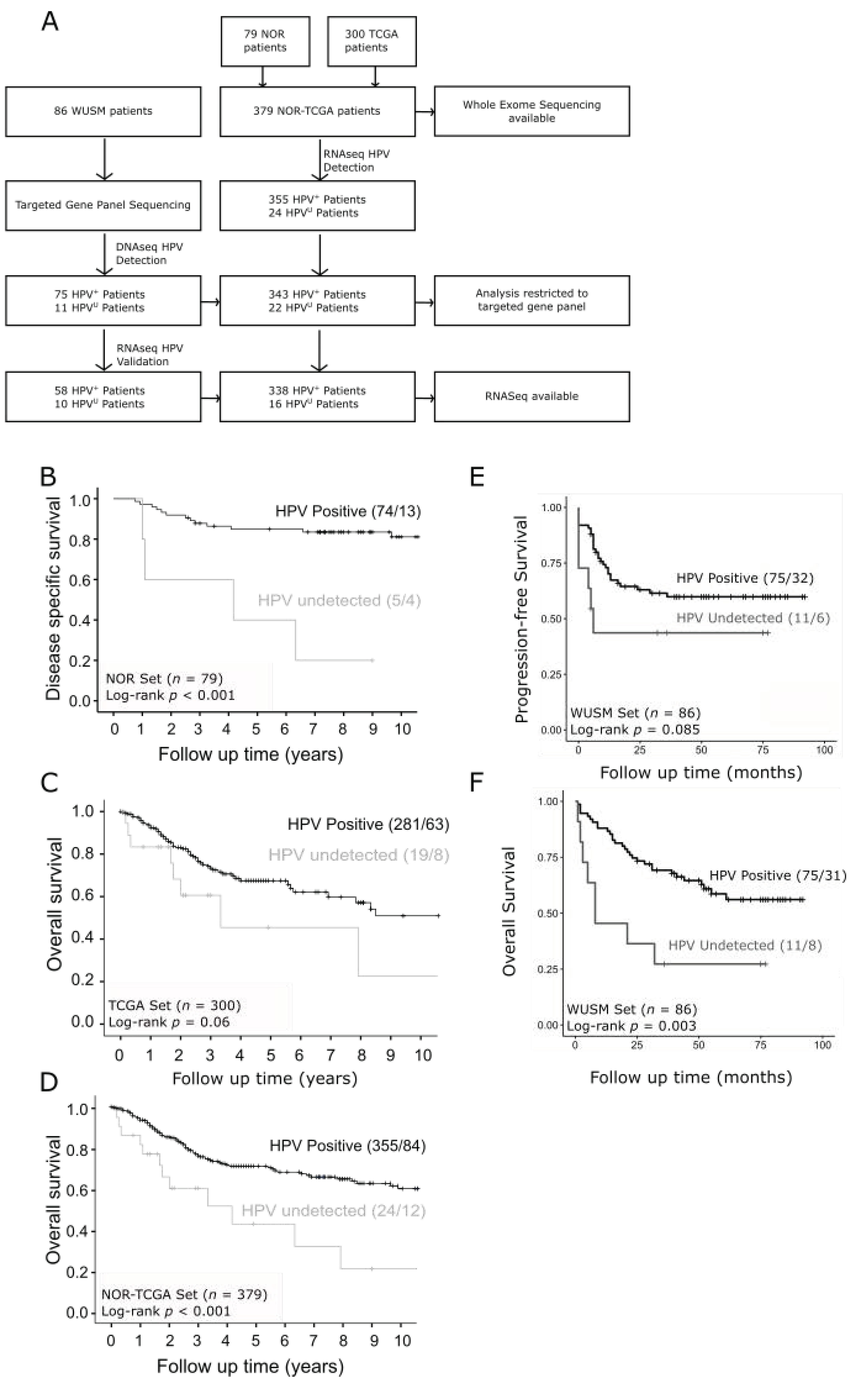 Cancers 13 04551 g001 Cancers 13 04551 g001