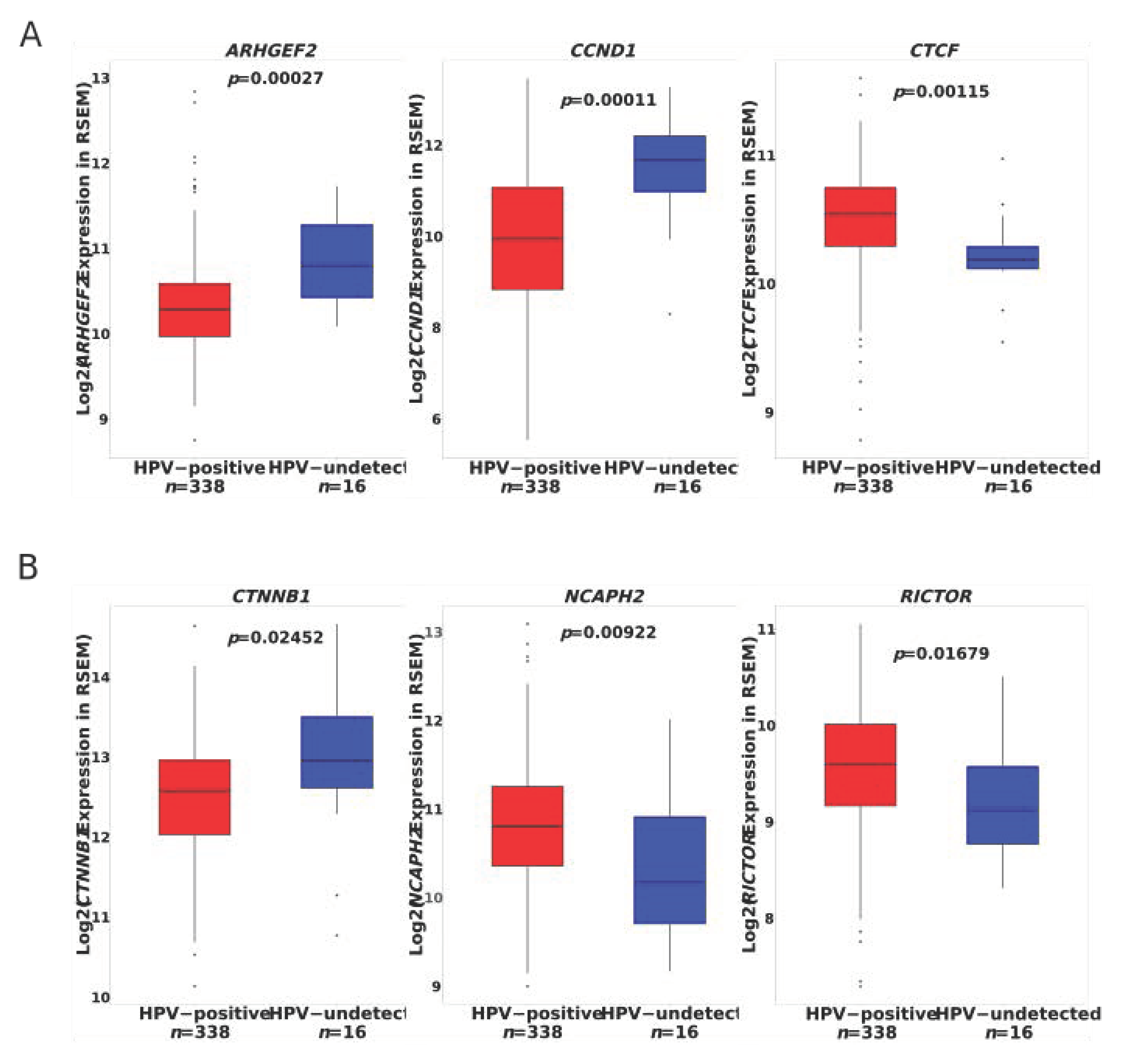 Cancers 13 04551 g003 Cancers 13 04551 g003