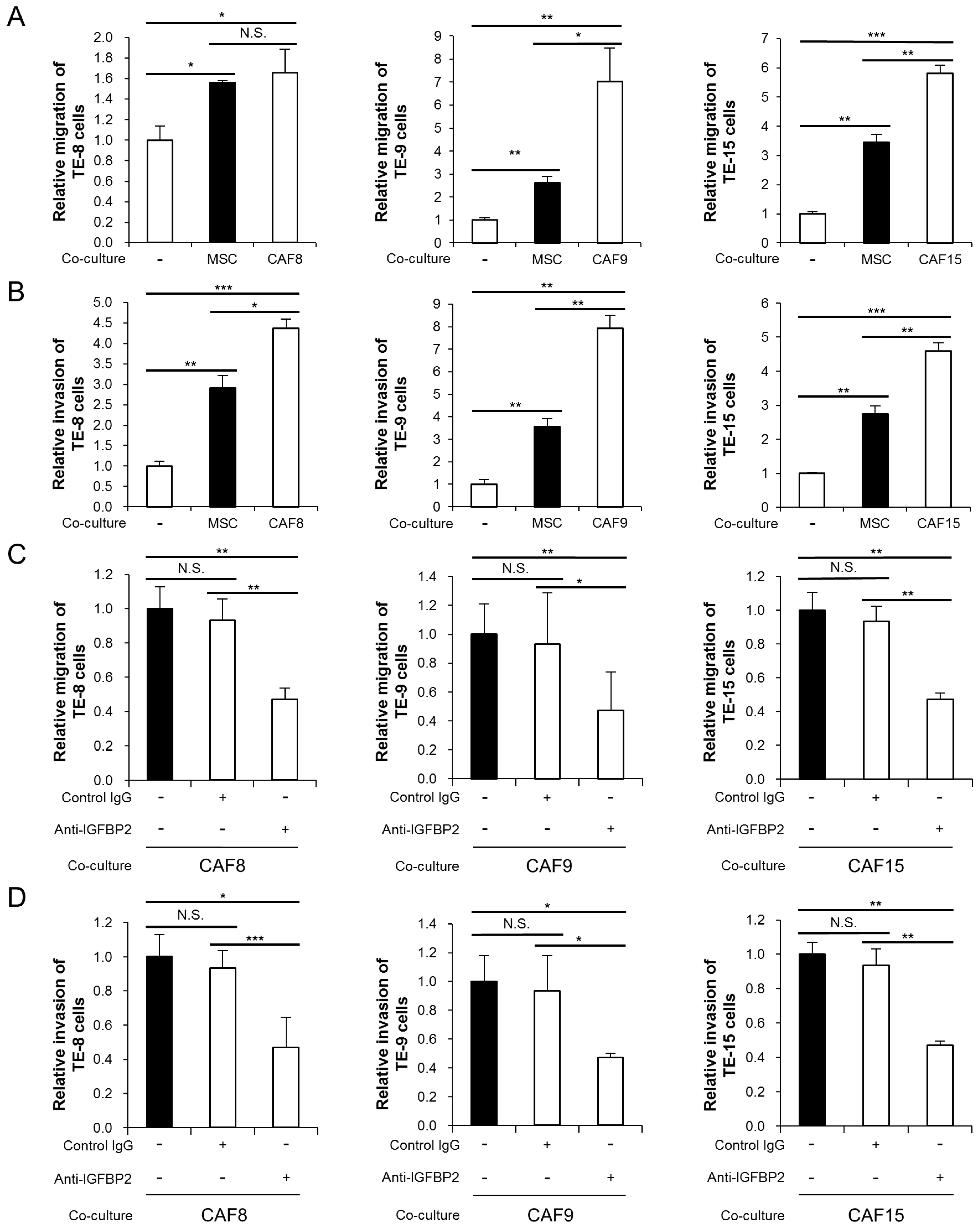 Cancers 13 04552 g003
