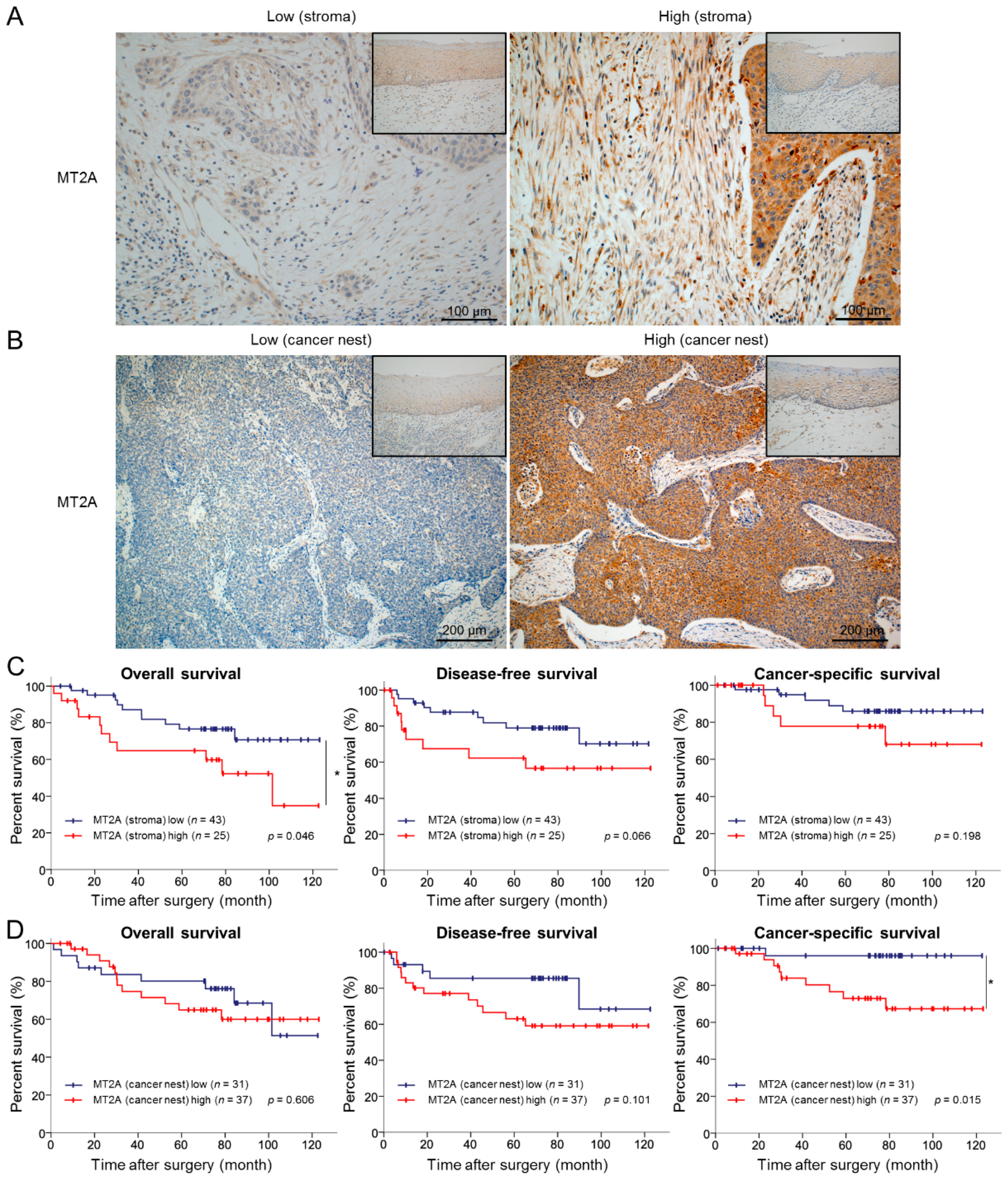 Cancers 13 04552 g006